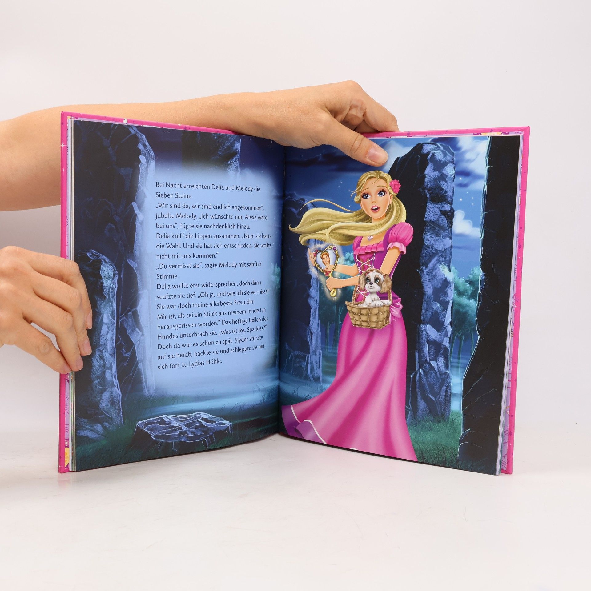 Luise Holthausen Barbie und das Diamantschloss