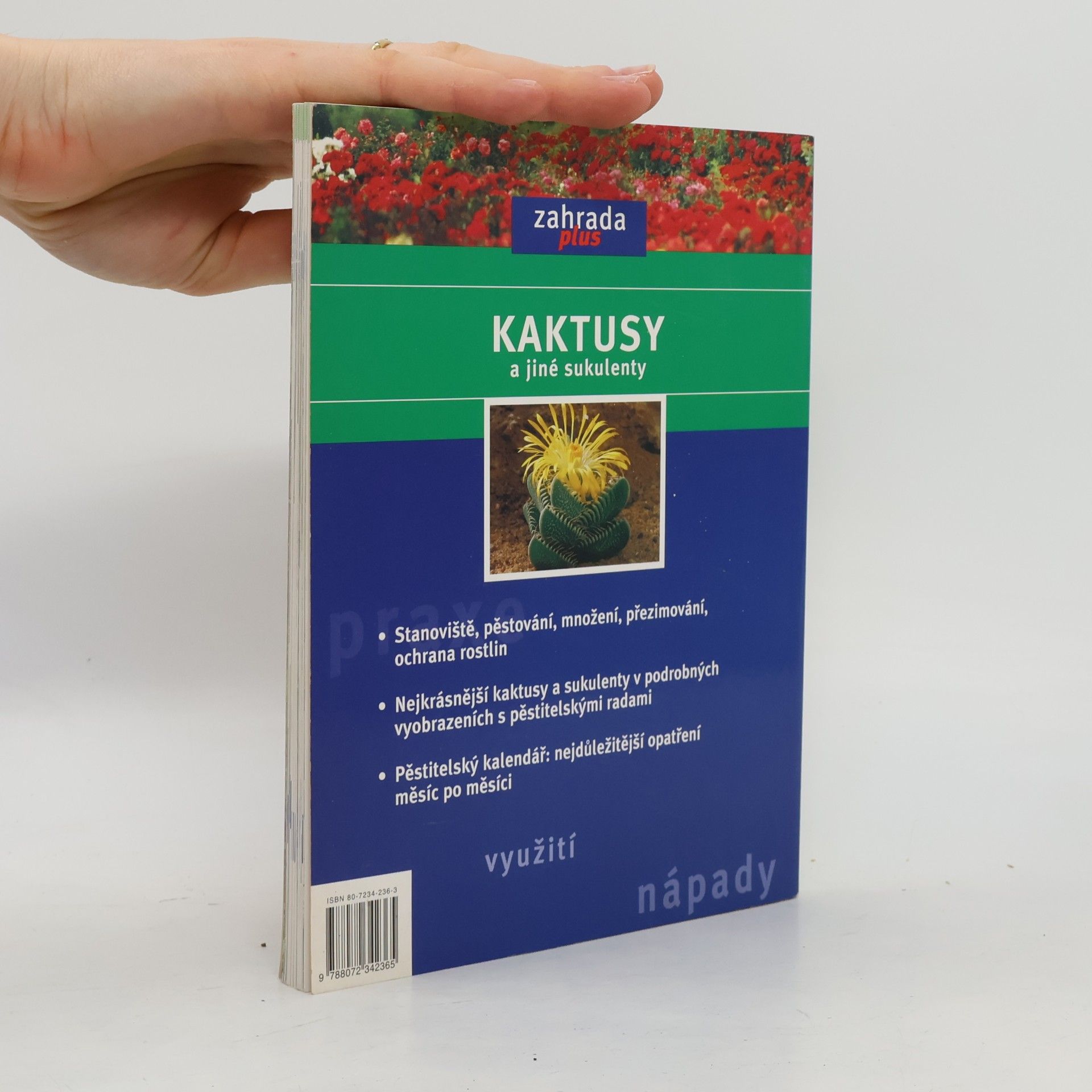 Elisabeth Manke Kaktusy a jiné sukulenty: Pěstování, přezimování, množení