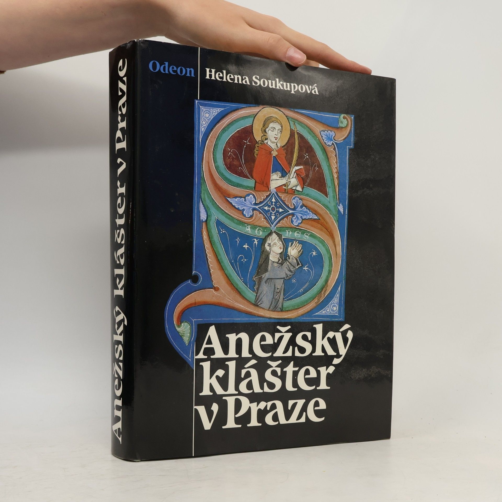 Helena Soukupová Anežský klášter v Praze
