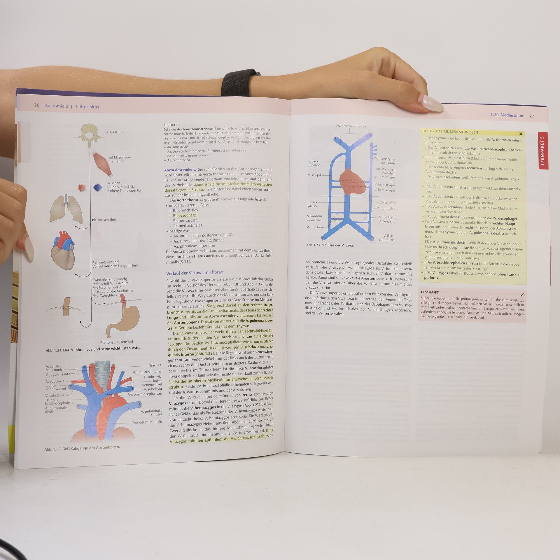Endspurt Vorklinik - 2: Anatomie 2