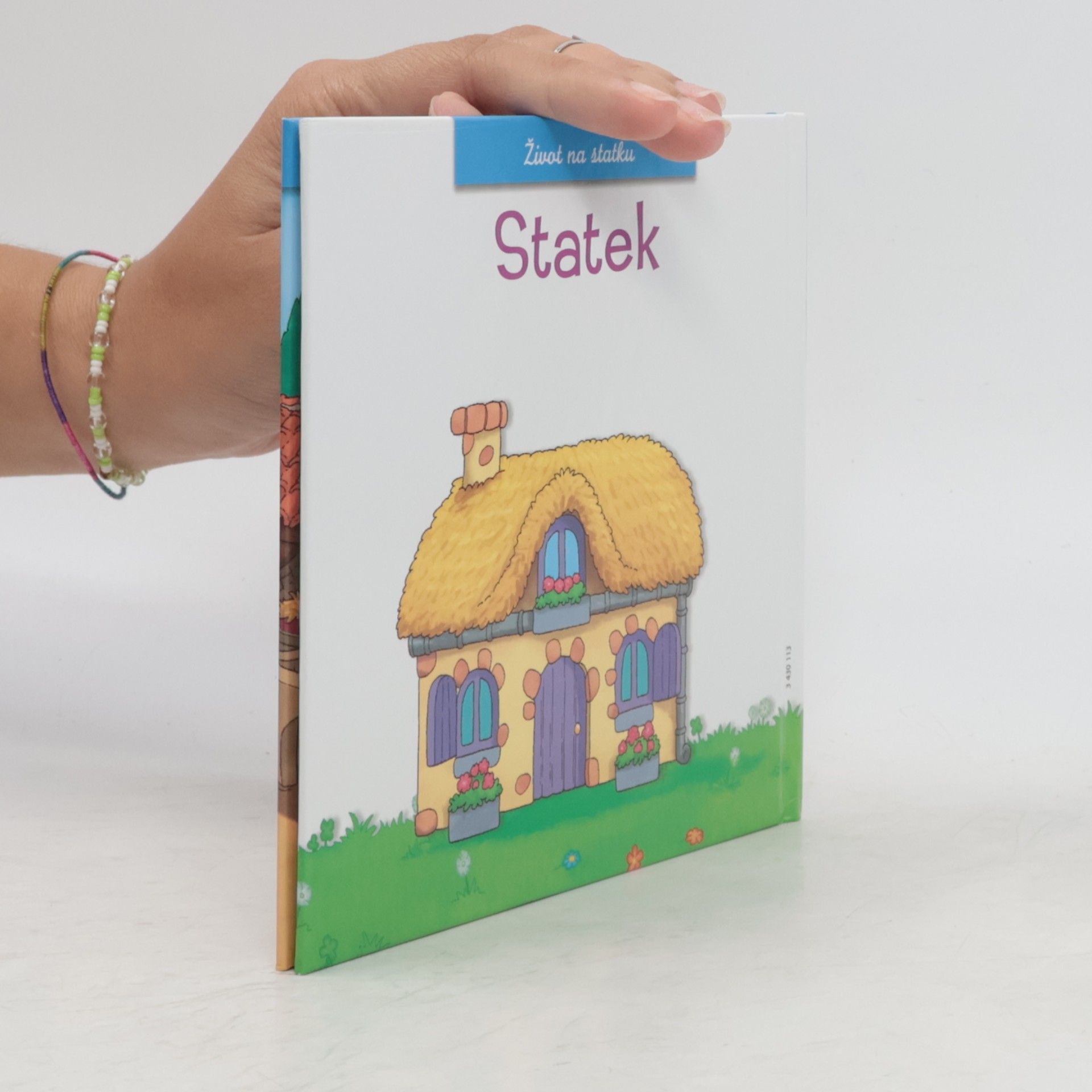 kolektiv Statek