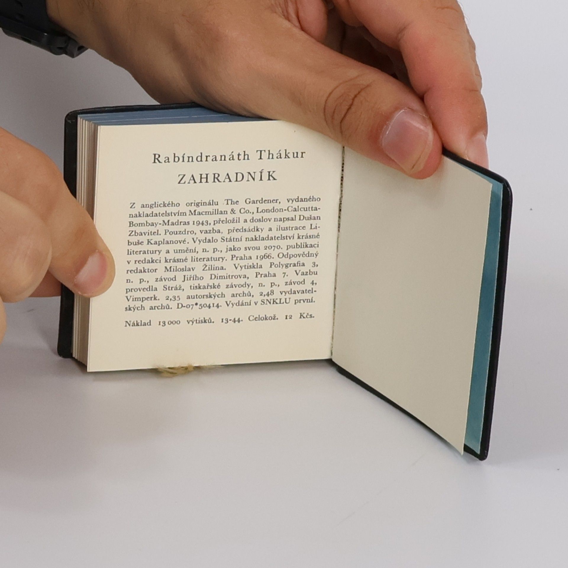 Rabindranath Tagore Zahradník