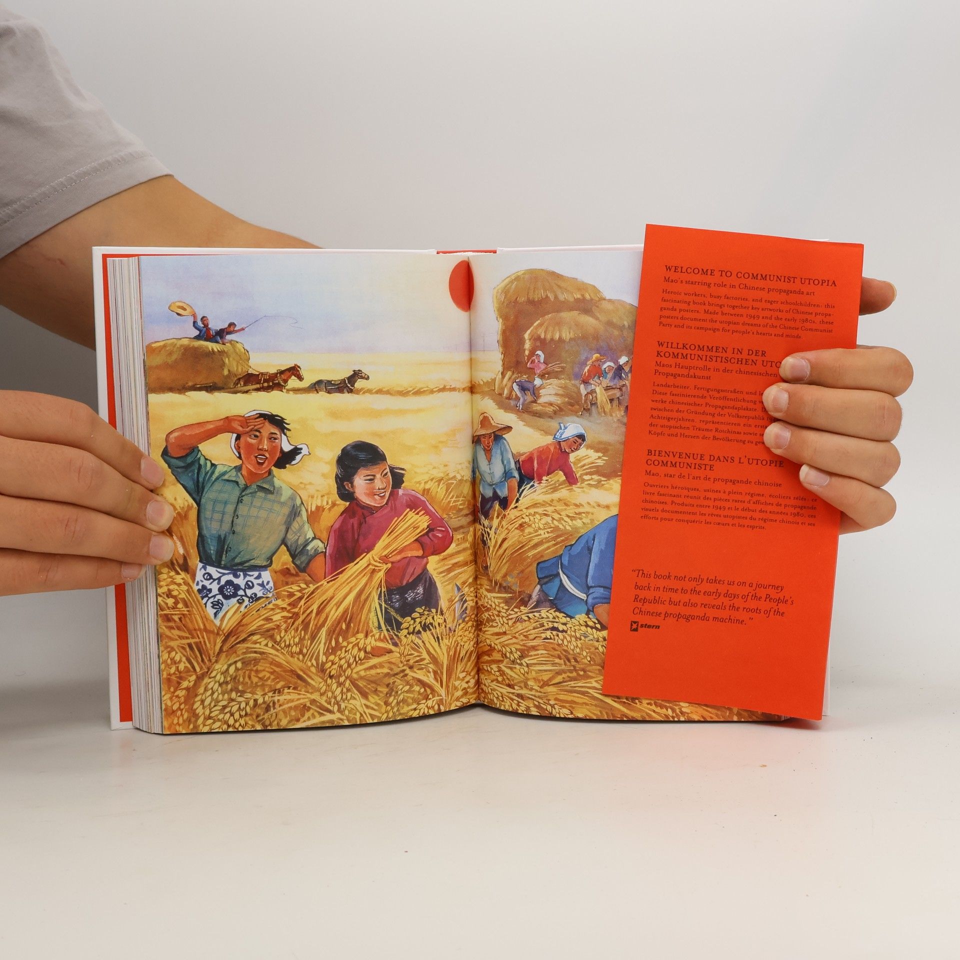 Anchee Min Chinese Propaganda Posters: 45th Ed. (45th Edition)