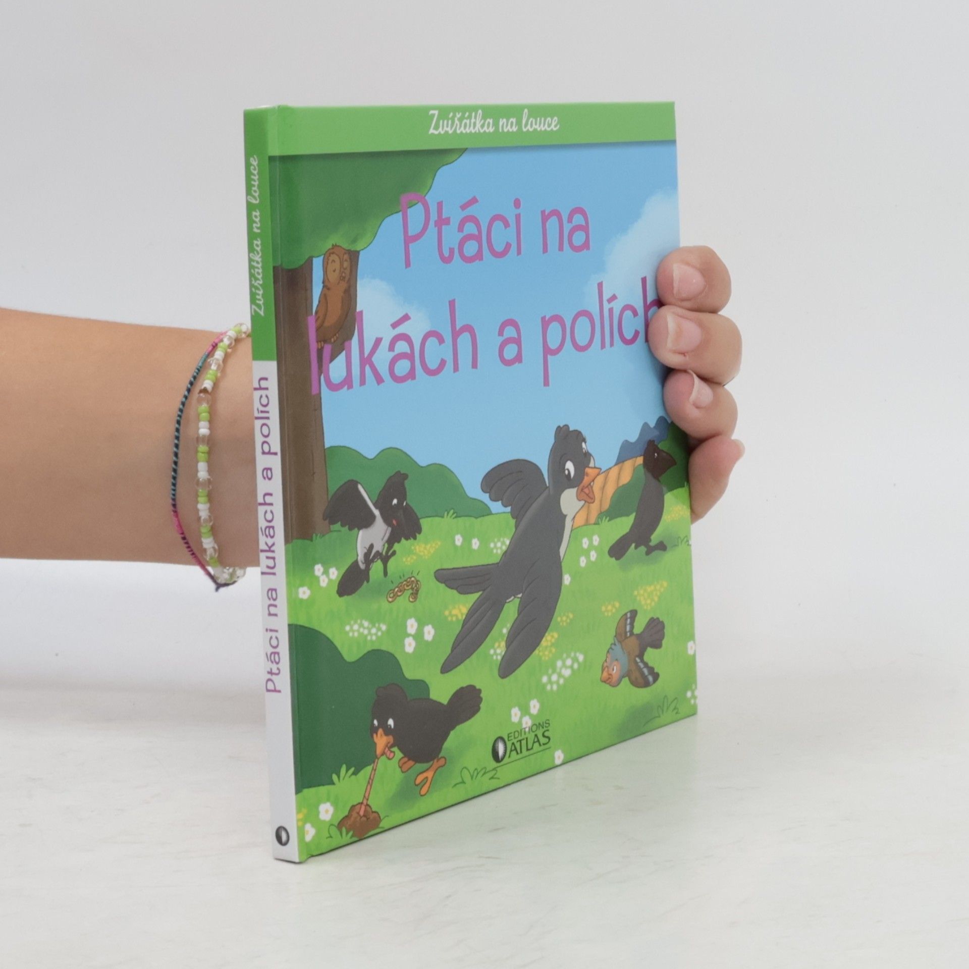 Kolektiv autorů Ptáci na lukách a polích