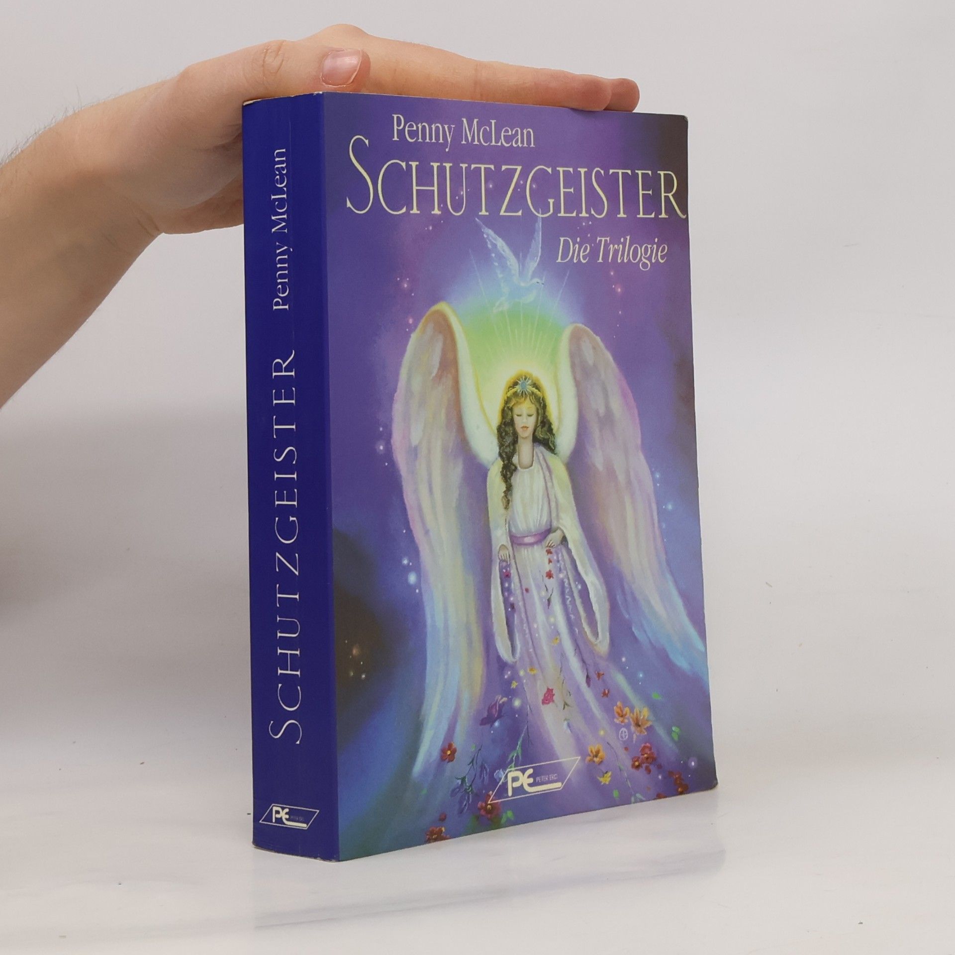 Penny McLean Schutzgeister