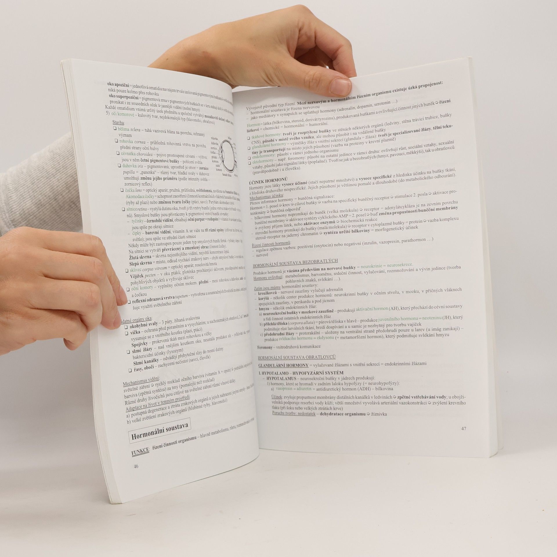 Hana Hančová Biologie v kostce: Pro střední školy. 2. díl