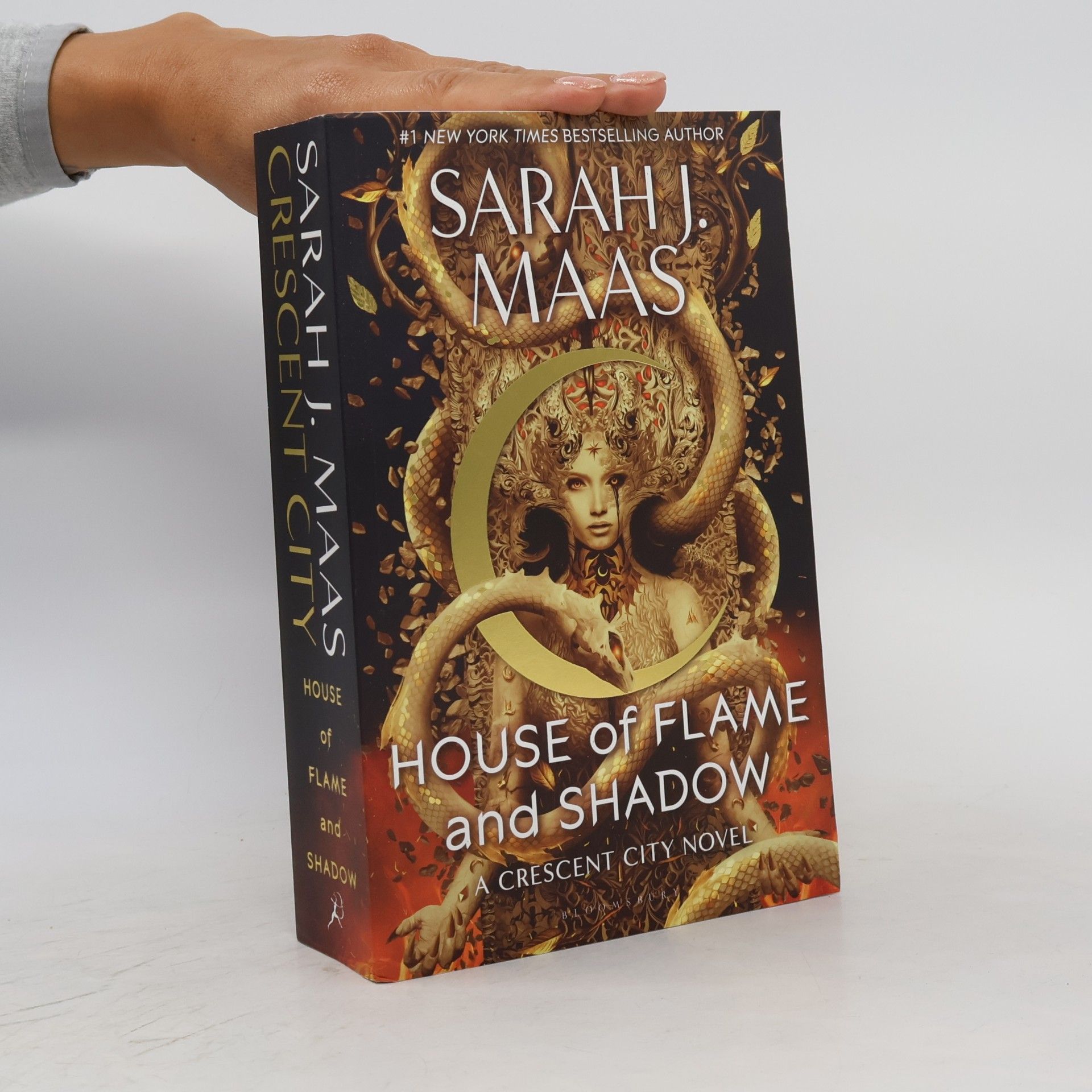 Sarah J. Maas House of Flame and Shadow
