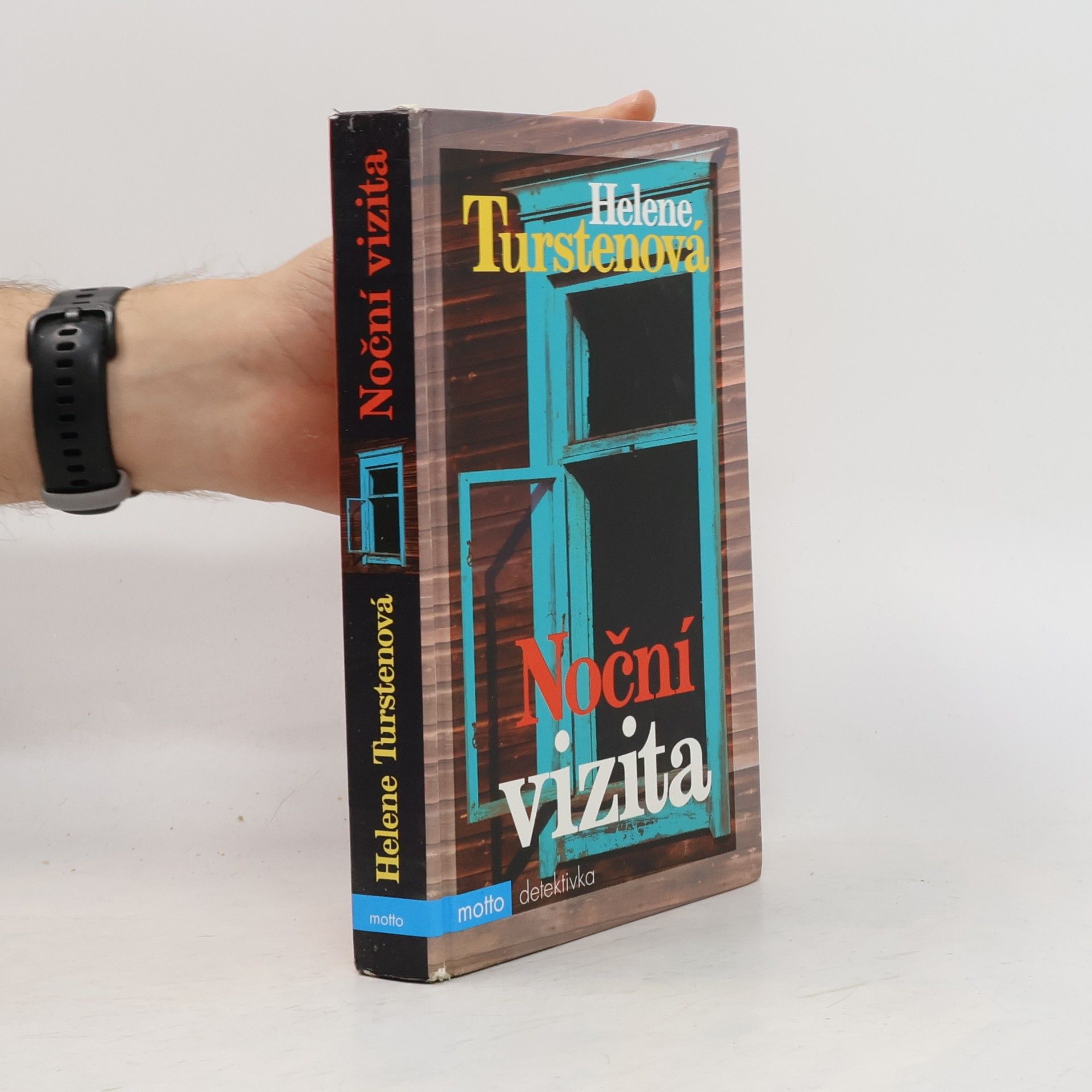 Helene Tursten Noční vizita