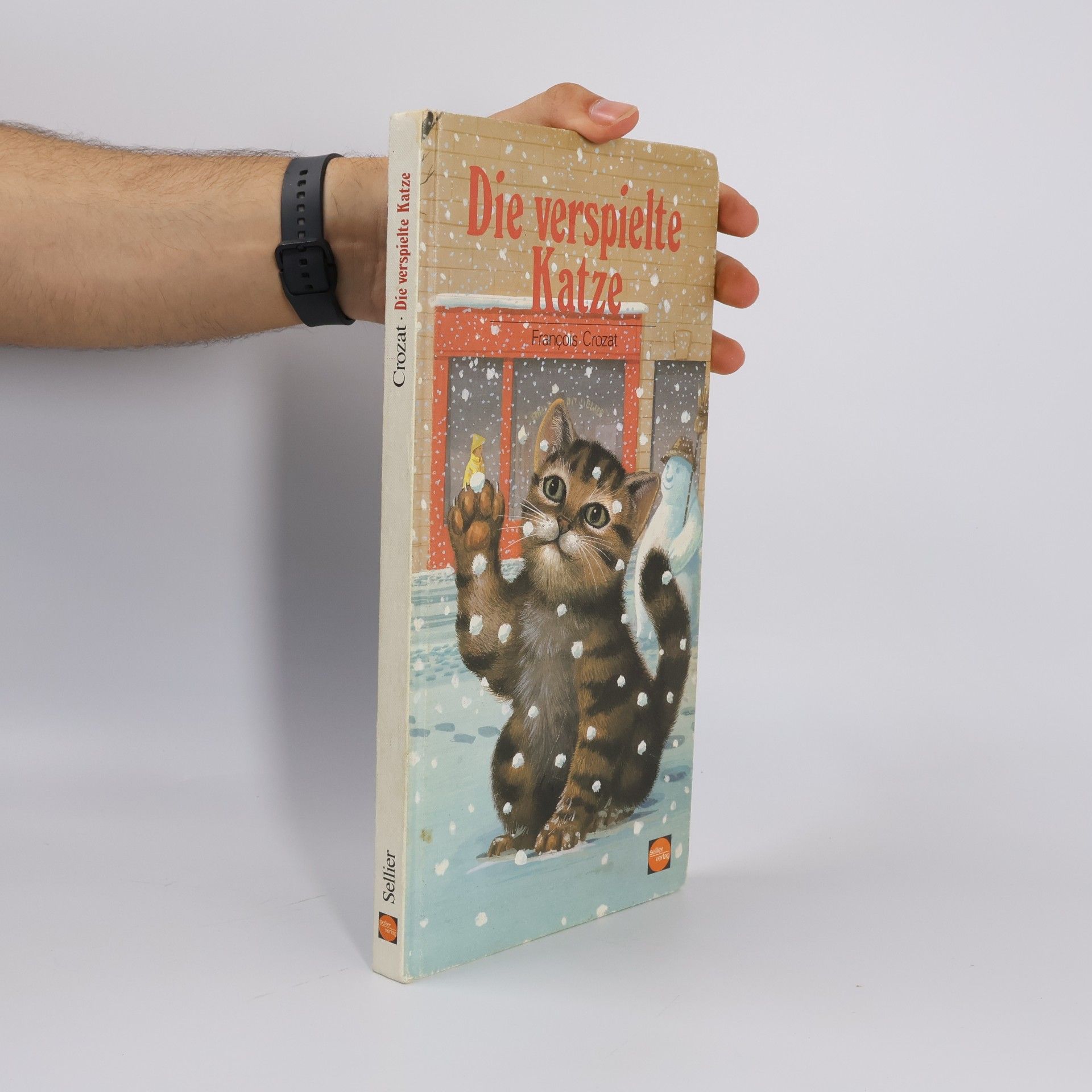 Die verspielte Katze