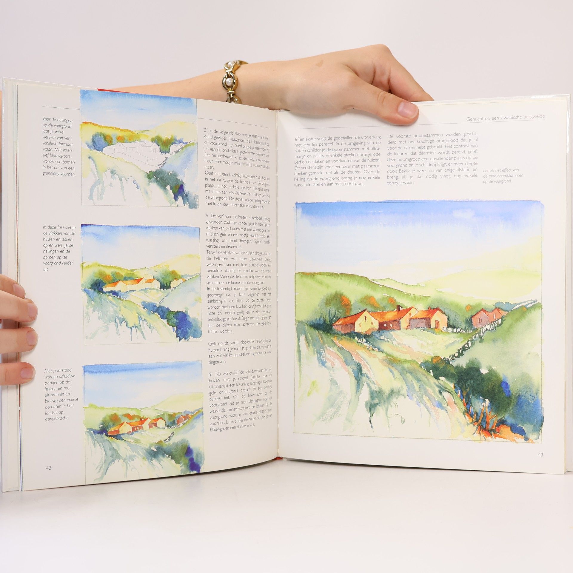Barbara Eisenbarth Landschappen