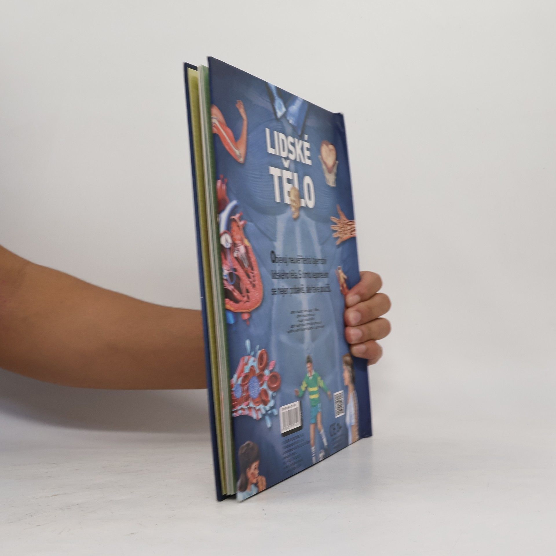 Autorenkollektiv Tajemná knížka - Lidské tělo