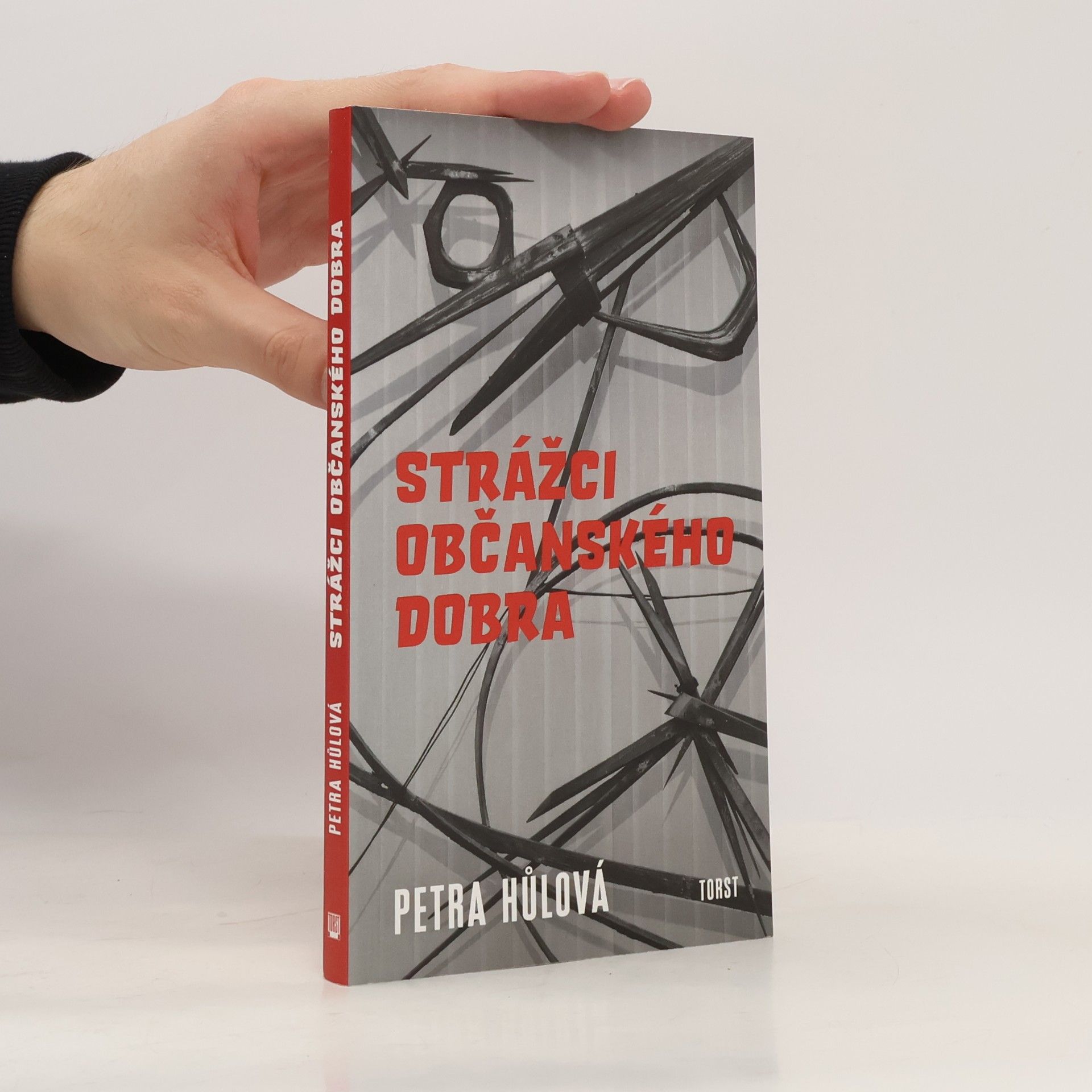 Petra Hůlová Strážci občanského dobra