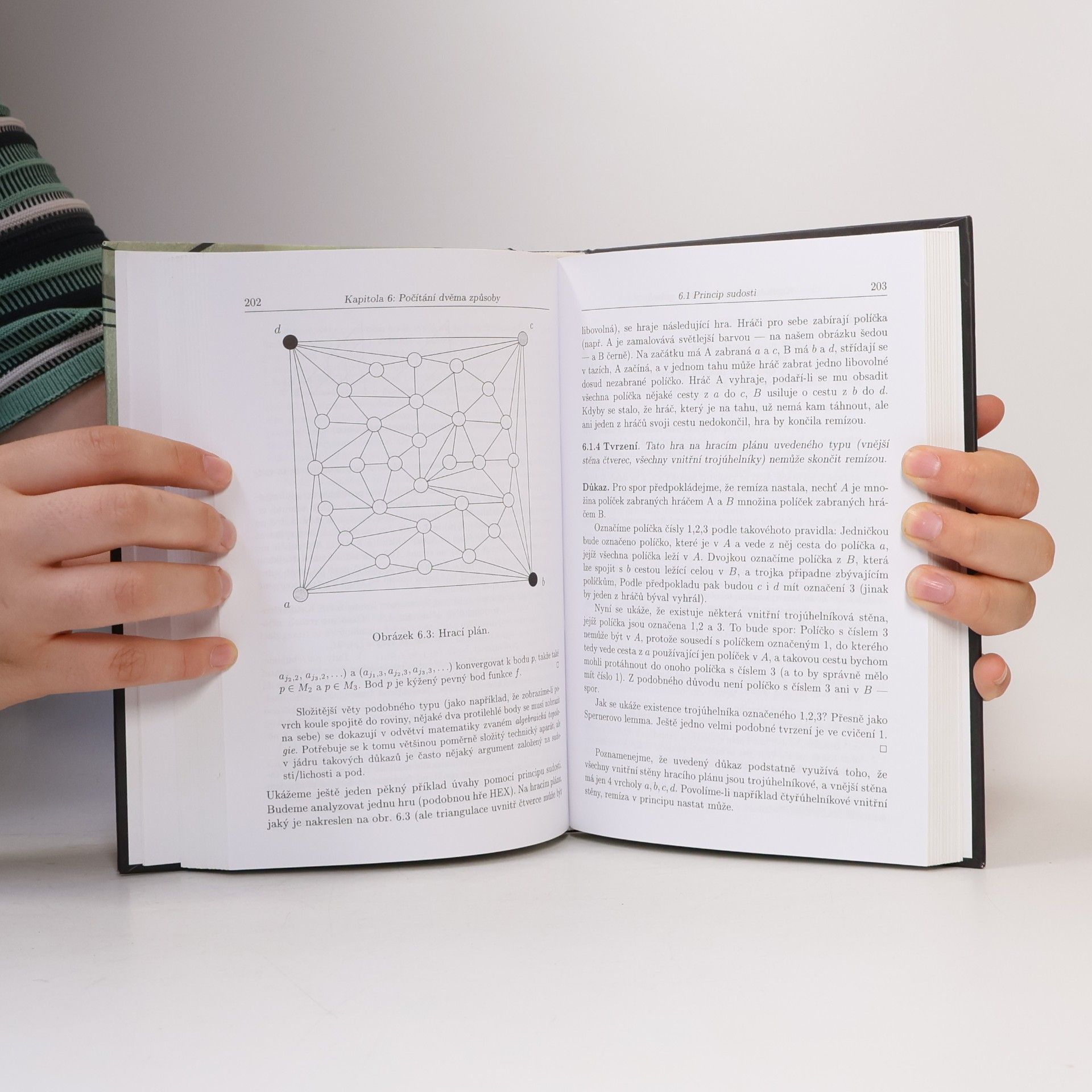 Jiří Matoušek Kapitoly z diskrétní matematiky