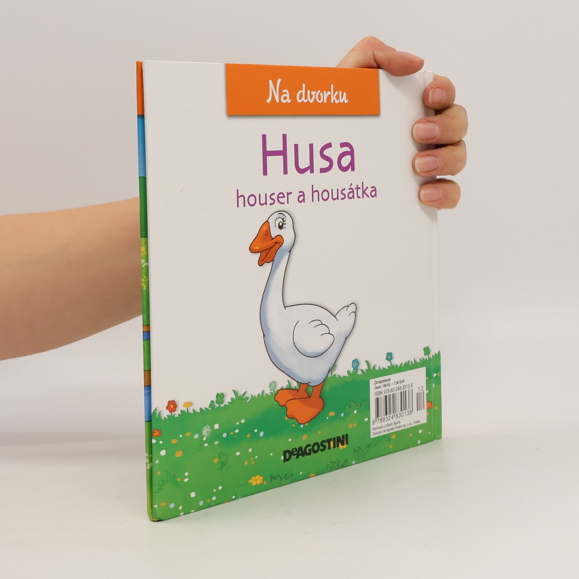 Kolektiv autorů Na dvorku 29. Husa
