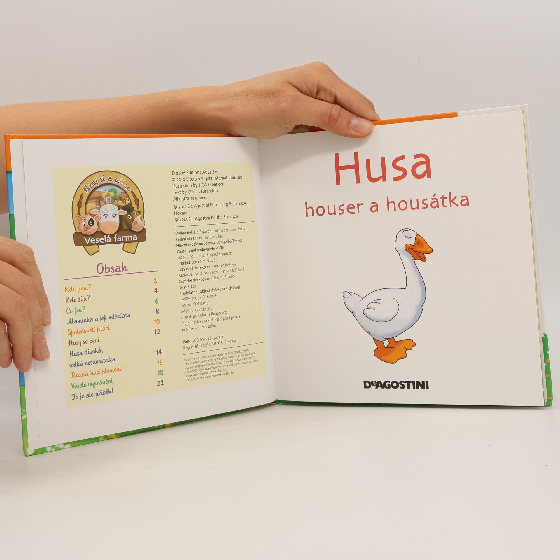 Kolektiv autorů Na dvorku 29. Husa