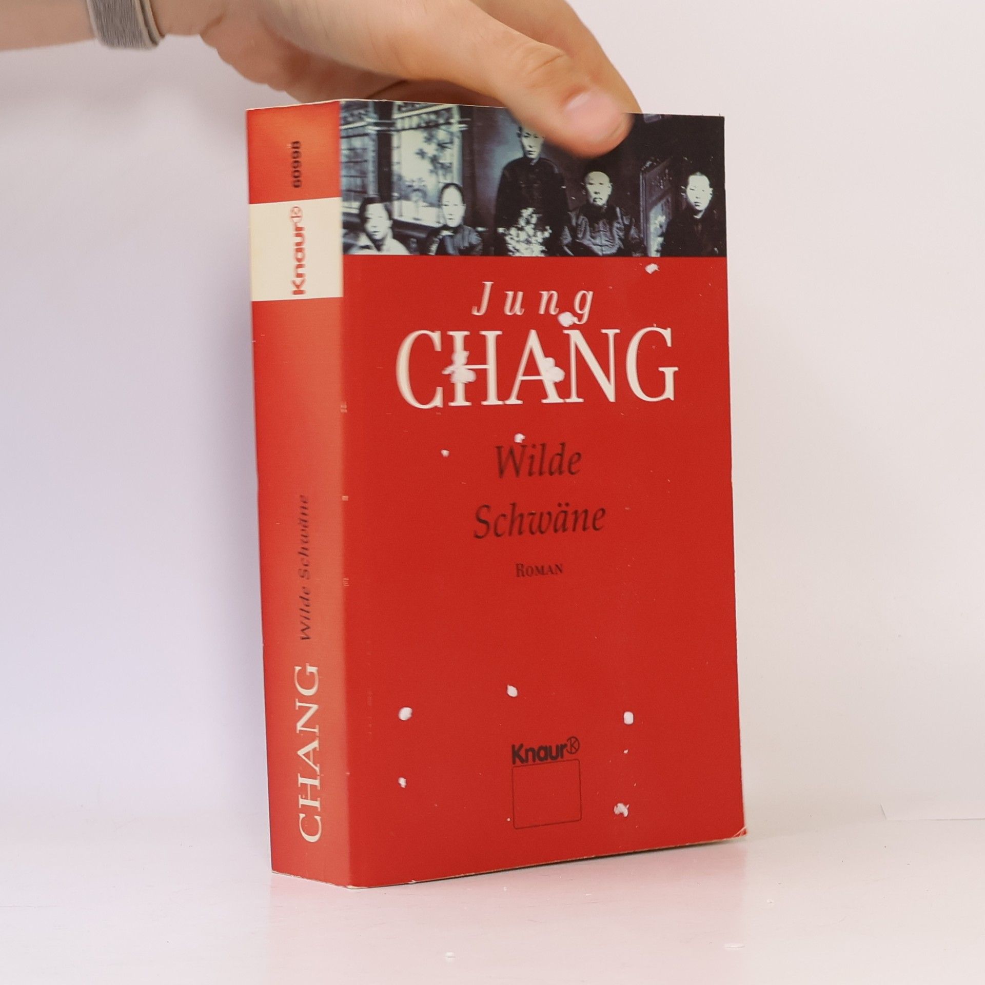Jung Chang Wilde Schwäne