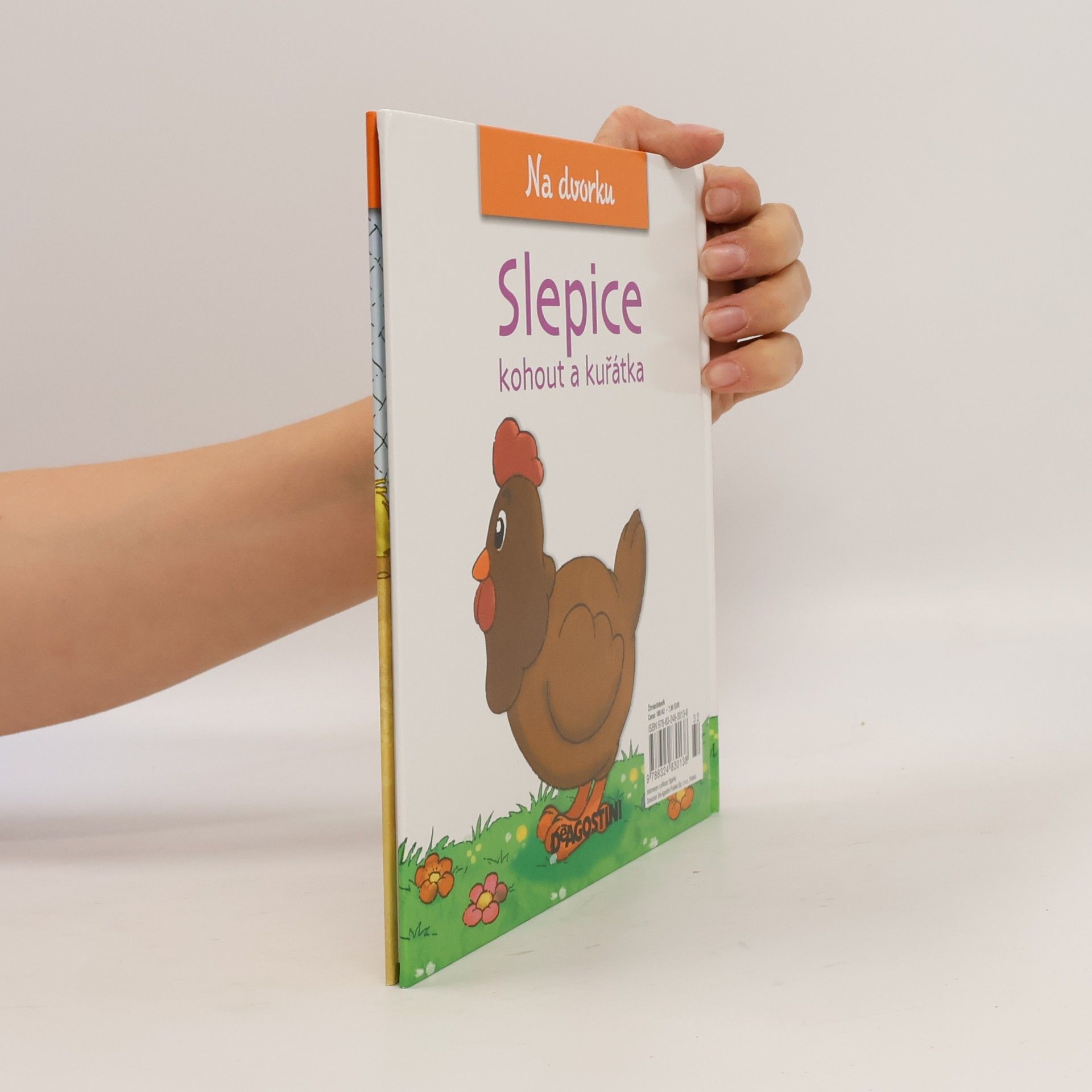 Collectif d'auteurs Na dvorku 13. Slepice
