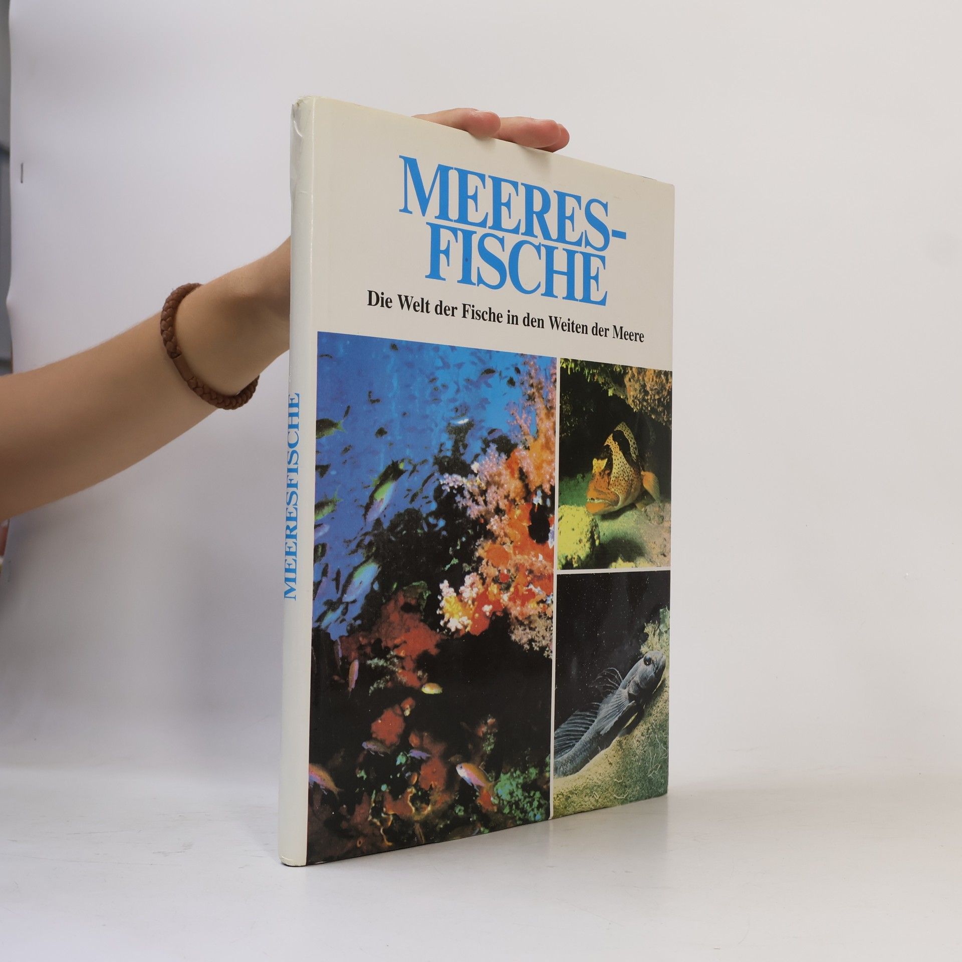 Gisella Dedionigi Meeres-Fische