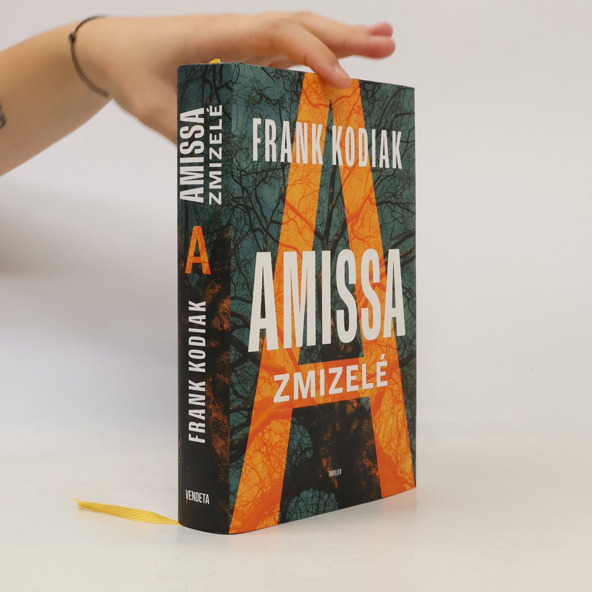 Hendrik Winter Amissa. Zmizelé