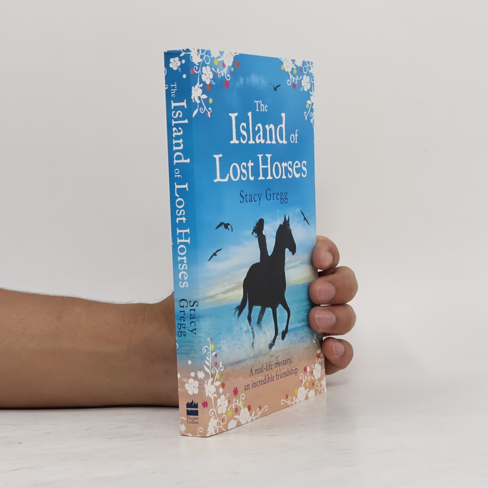Stacy Gregg The Island of Lost Horses