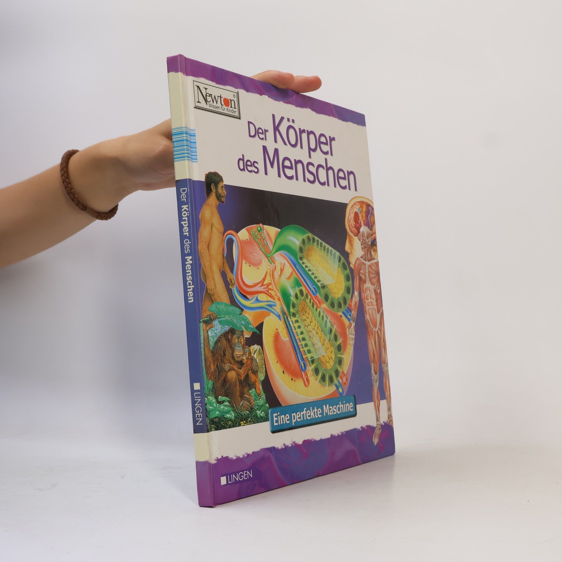 Autorenkollektiv Der Korper des Menschen