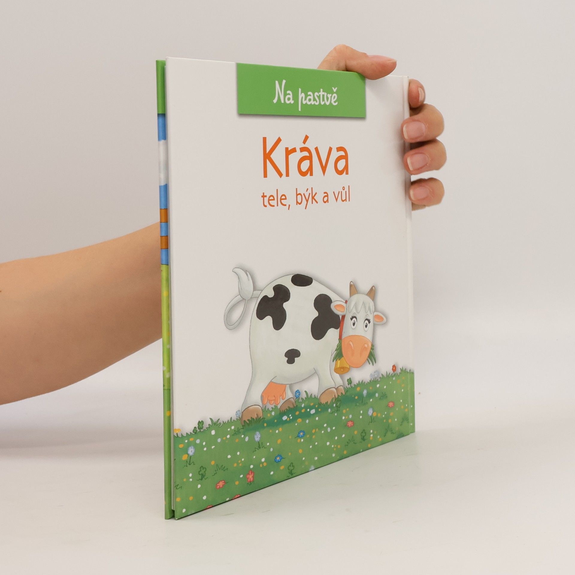 Christine Serbource Kráva, tele, býk a vůl