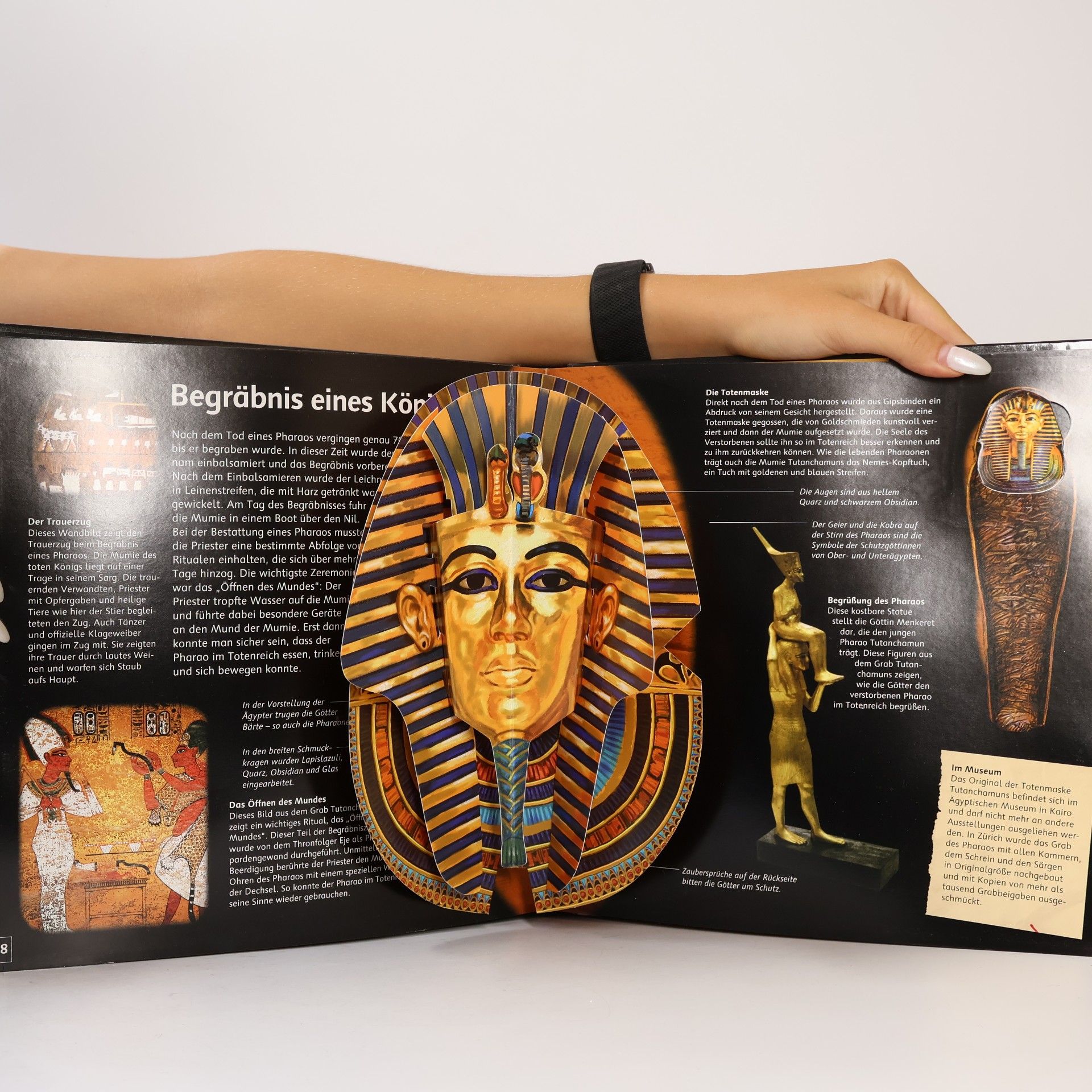 Jen Green Ägypten