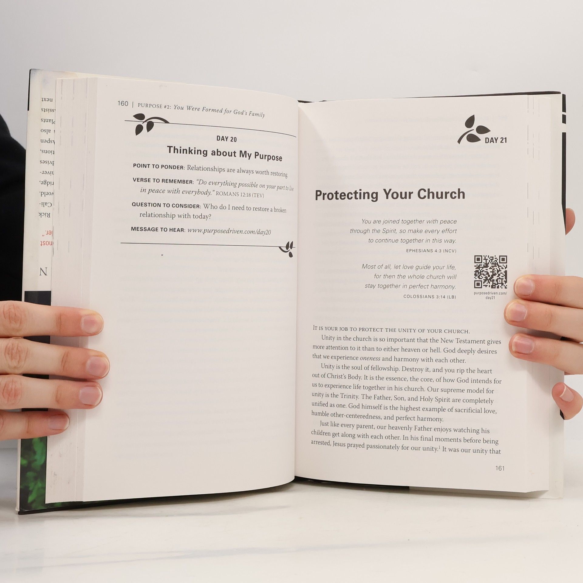 Rick Warren The Purpose Driven Life. Leben mit Vision, Englische Ausgabe - Expanded Edition