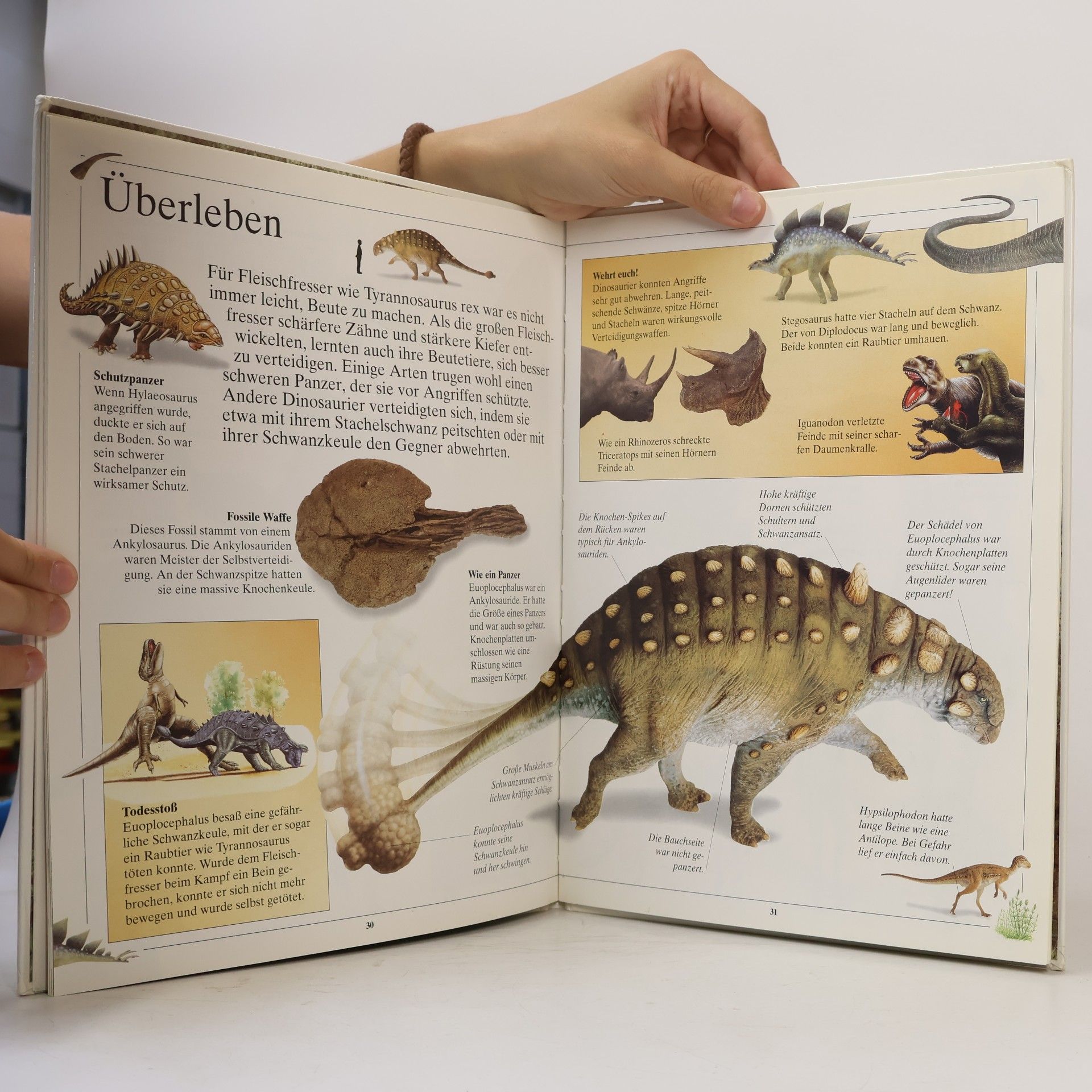 Deborah Chancellor Unter Dinosauriern