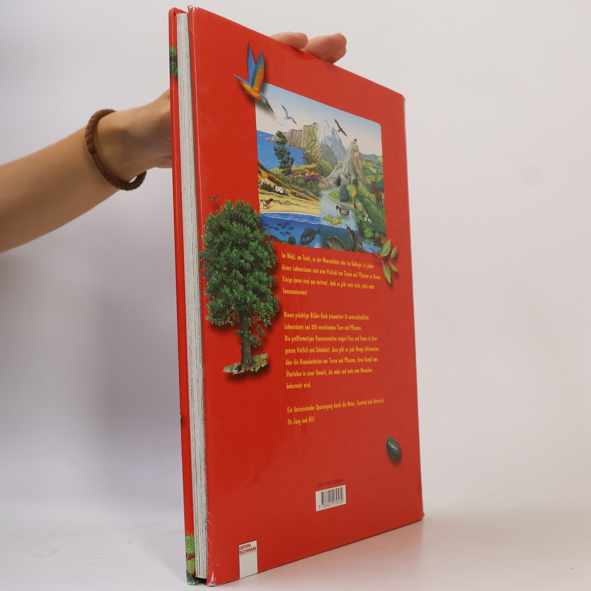 Florence Vérilhac Mein großes Buch der Tiere und Pflanzen