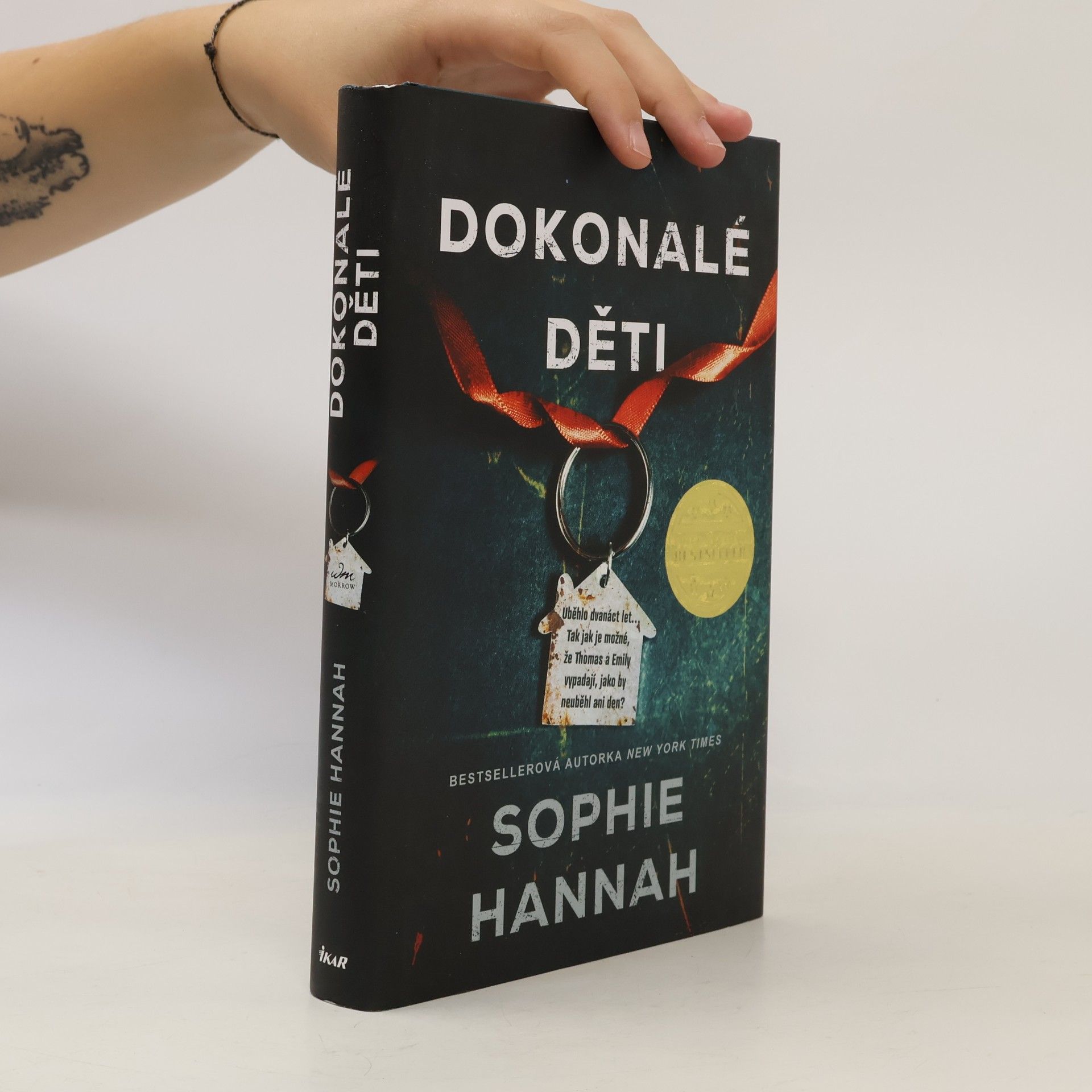 Sophie Hannah Dokonalé děti