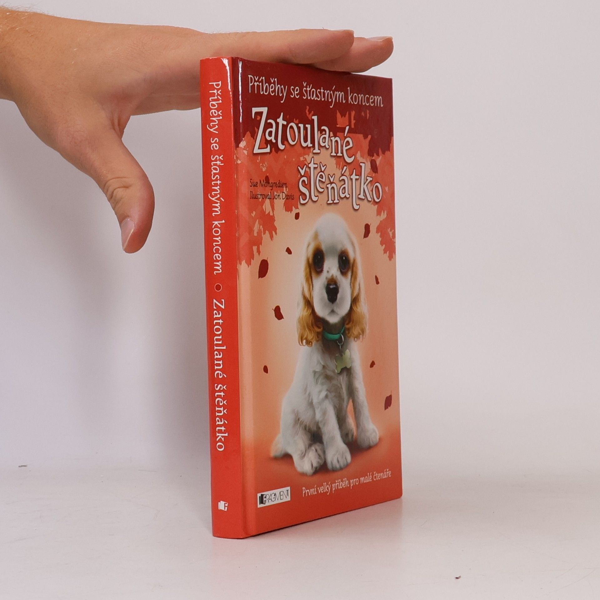 Lucy Diamond Zatoulané štěňátko
