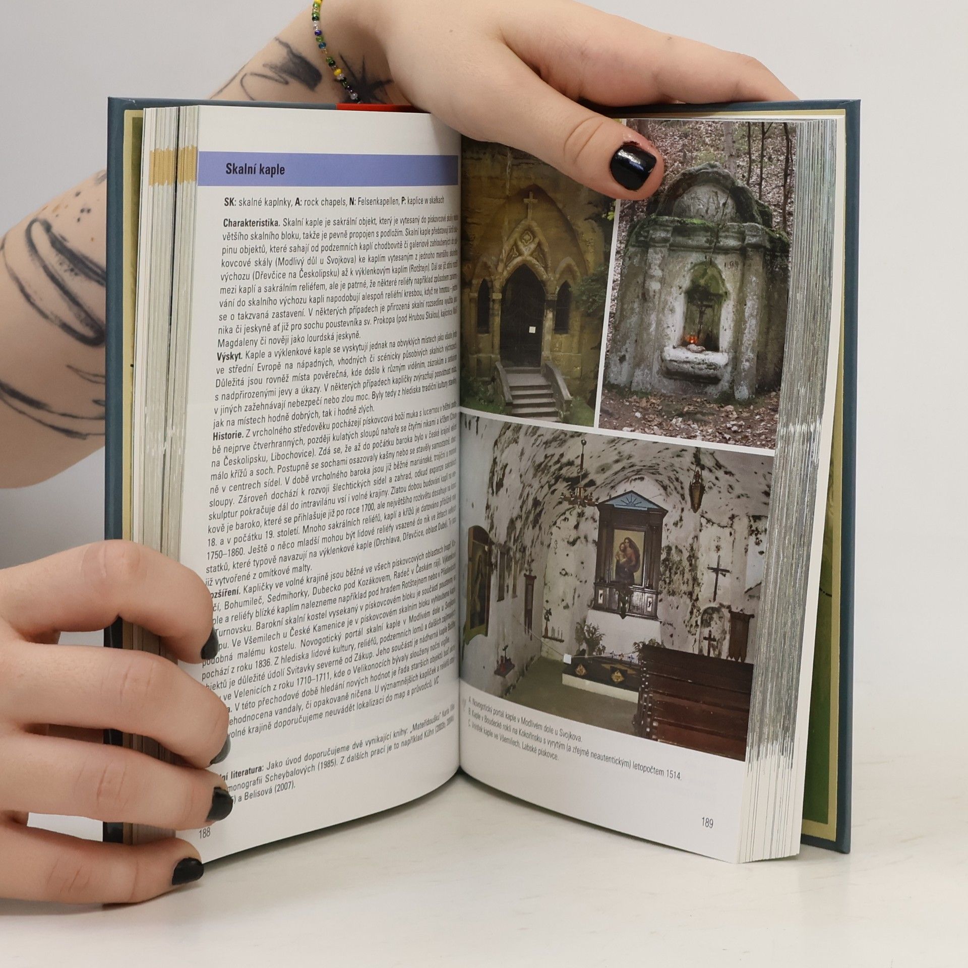 Jiří Adamovič Atlas pískovcových skalních měst České a Slovenské republiky : geologie a geomorfologie