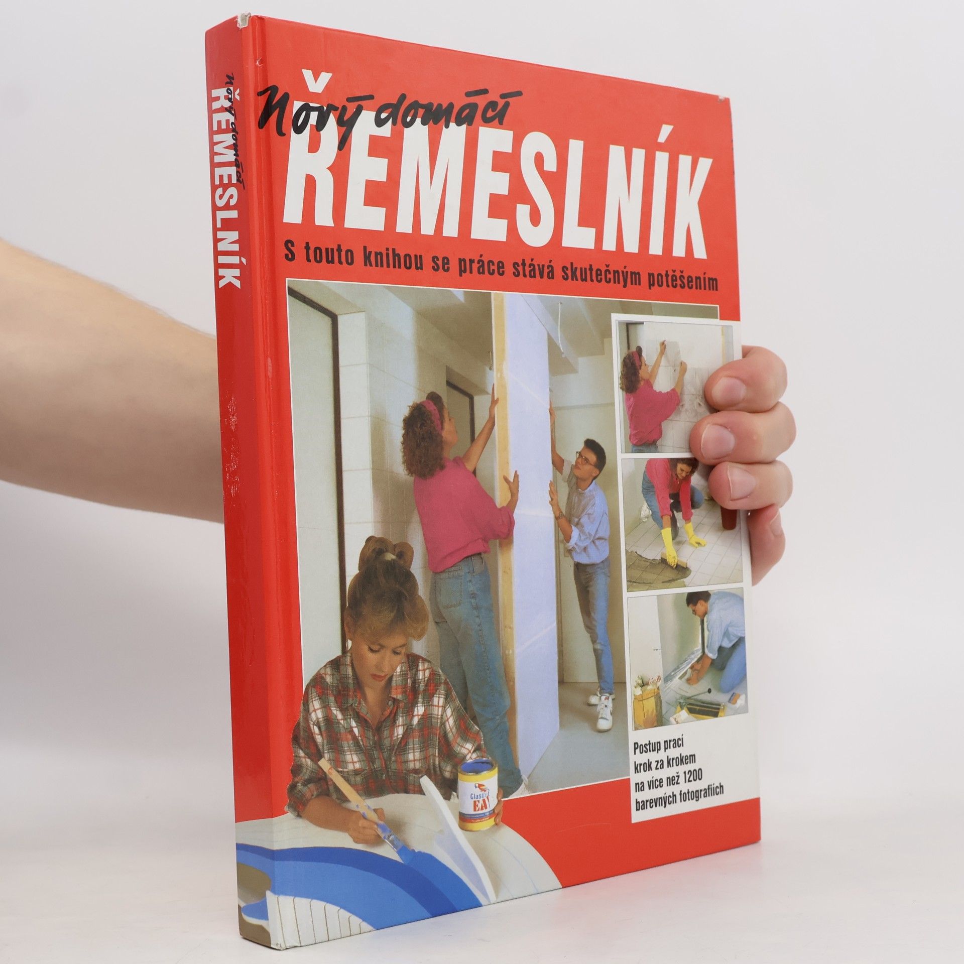 Dieter Rex Nový domácí řemeslník