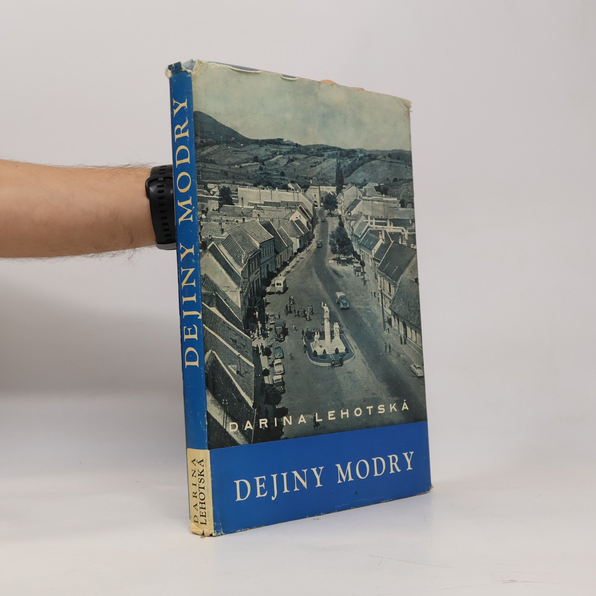 Darina Lehotská Dejiny Modry