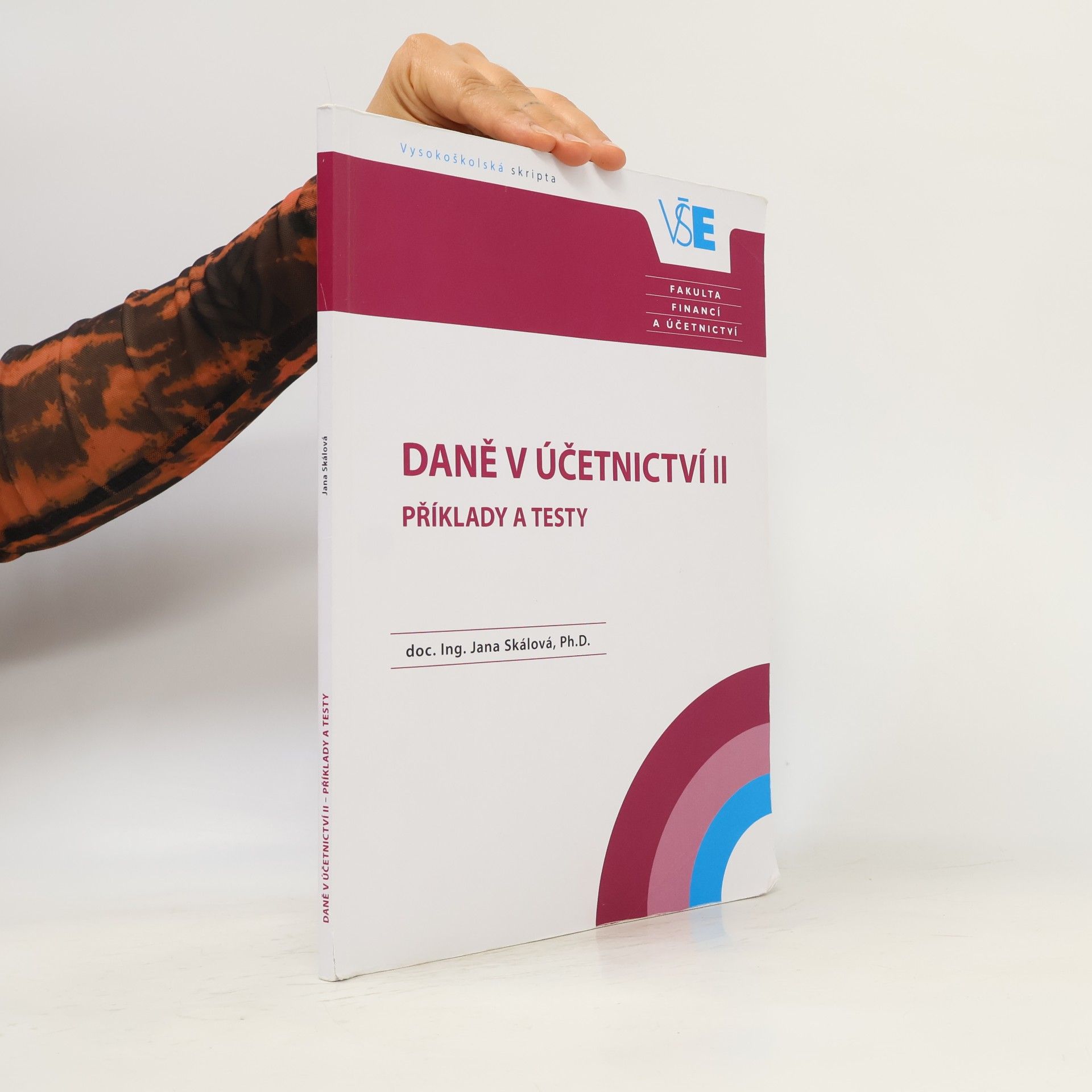 Kolektiv autorů Daně v účetnictví II