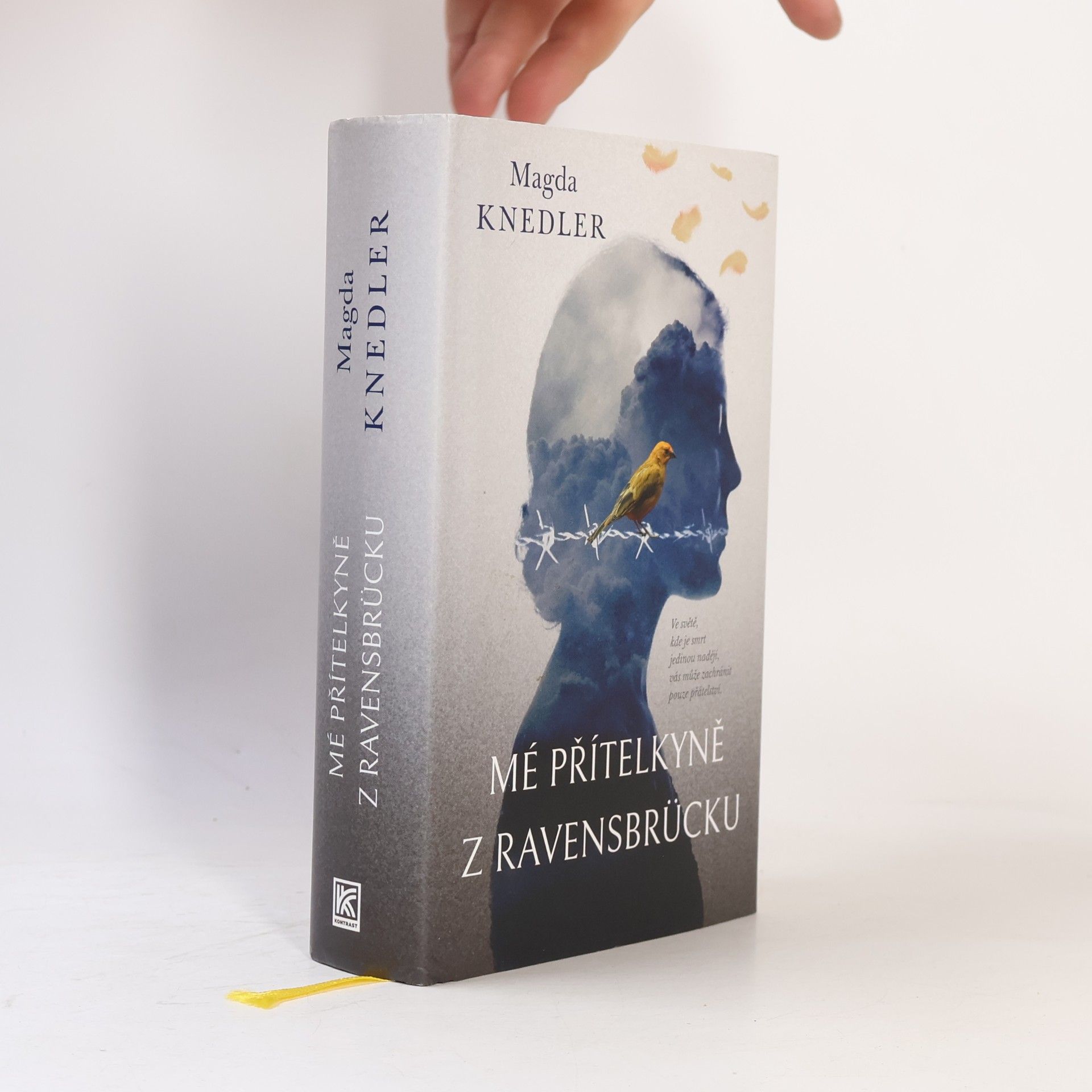 Magdalena Knedler Mé přítelkyně z Ravensbrücku