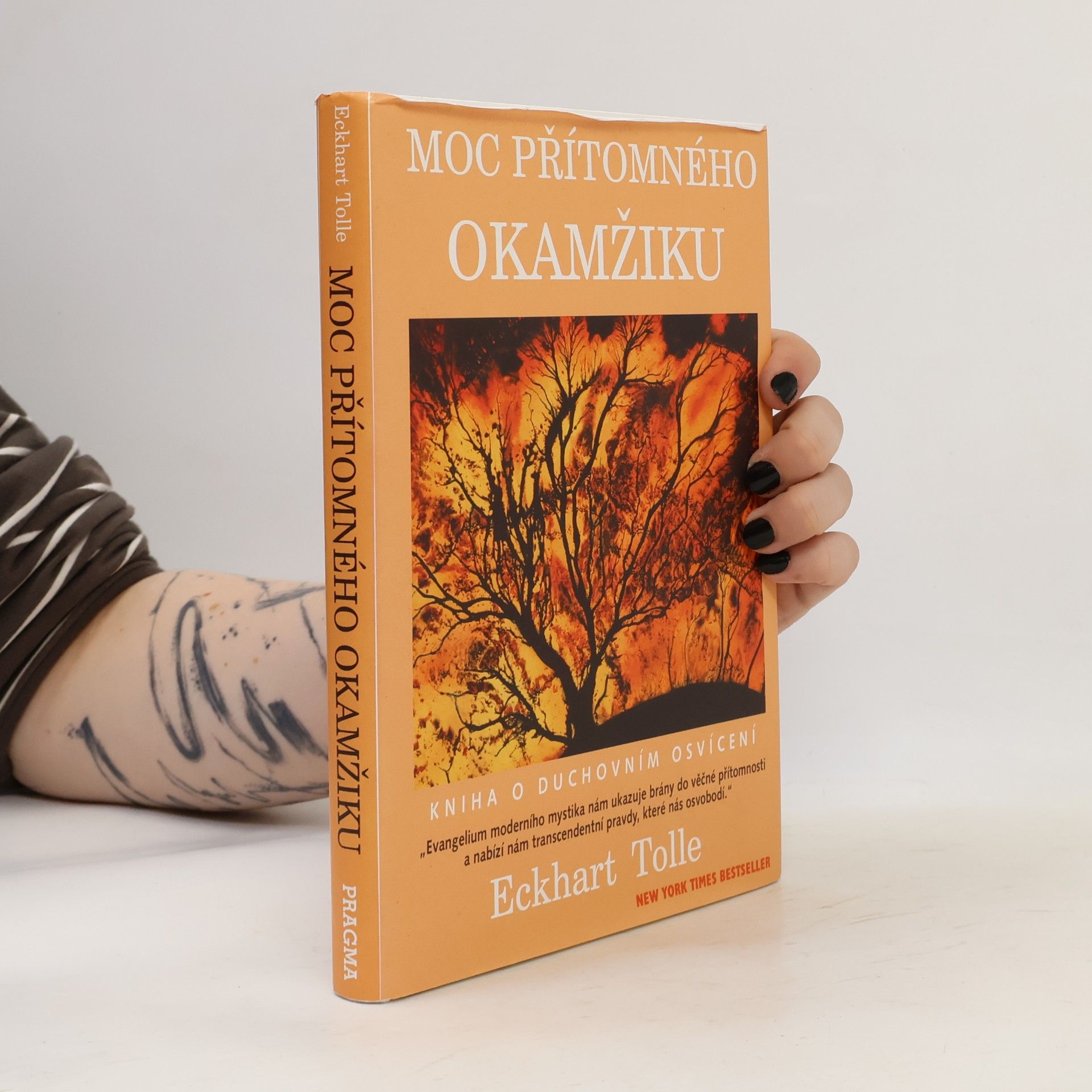 Eckhart Tolle Moc přítomného okamžiku