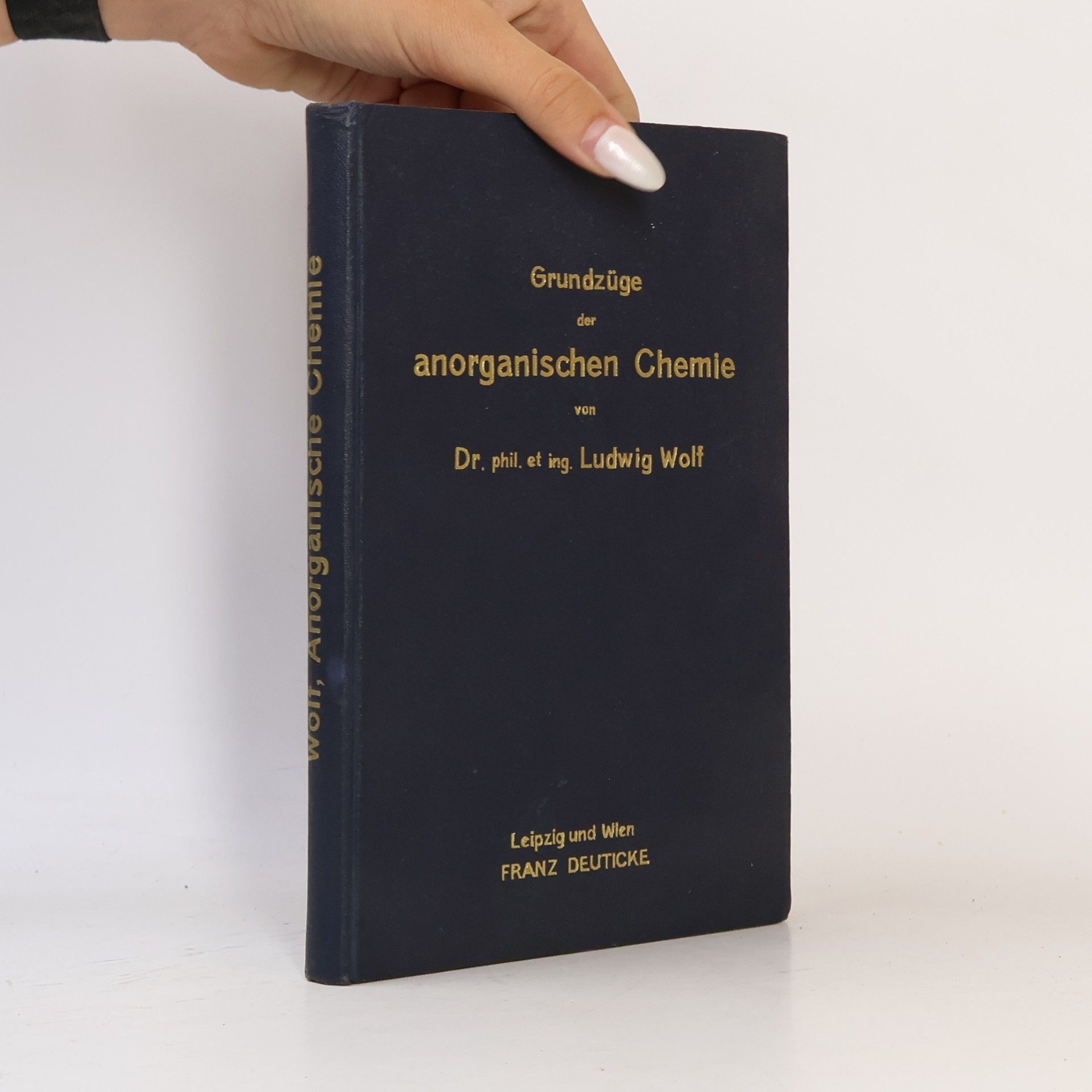 Ludwig Wolf Grundzüge der anorganischen Chemie
