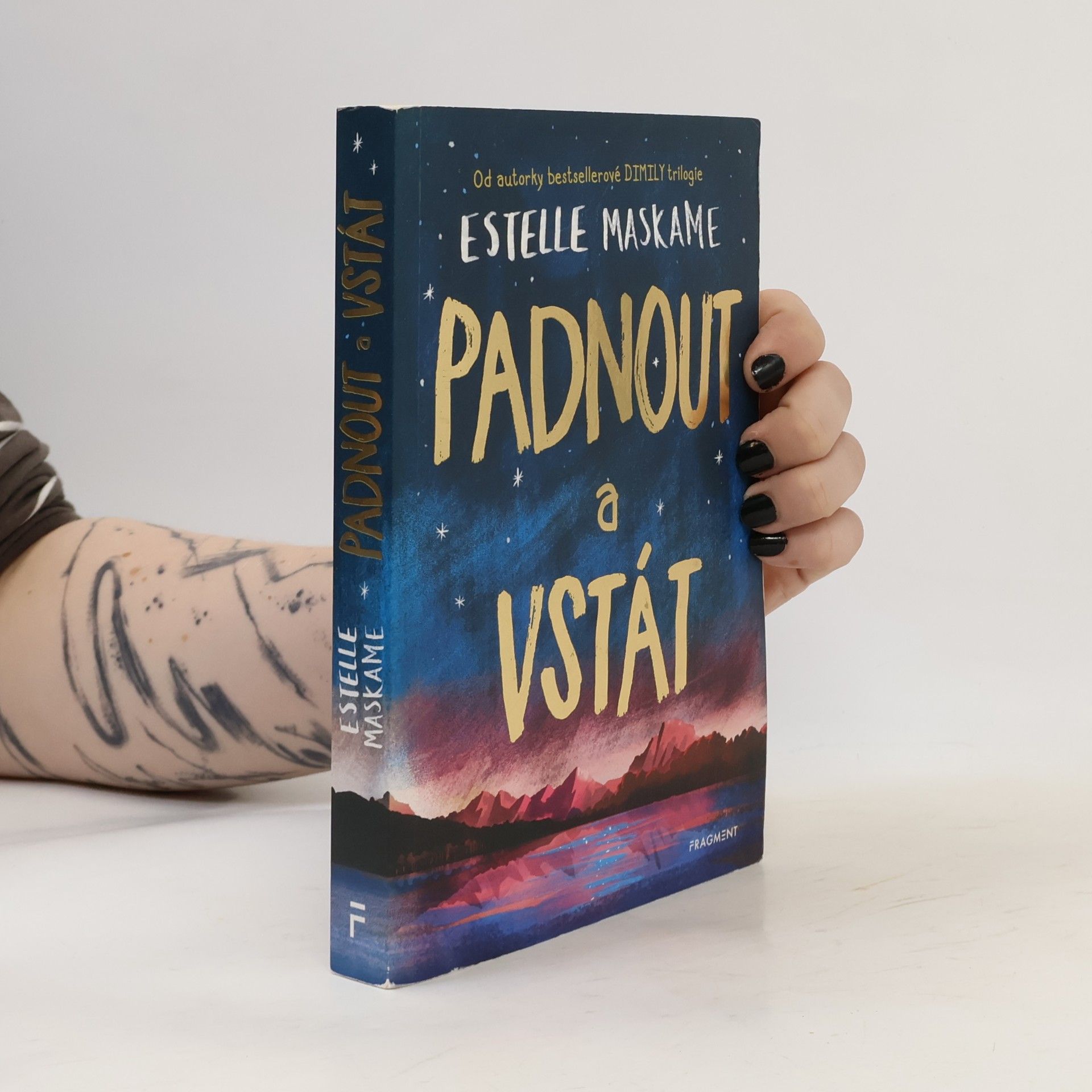 Estelle Maskame Padnout a vstát