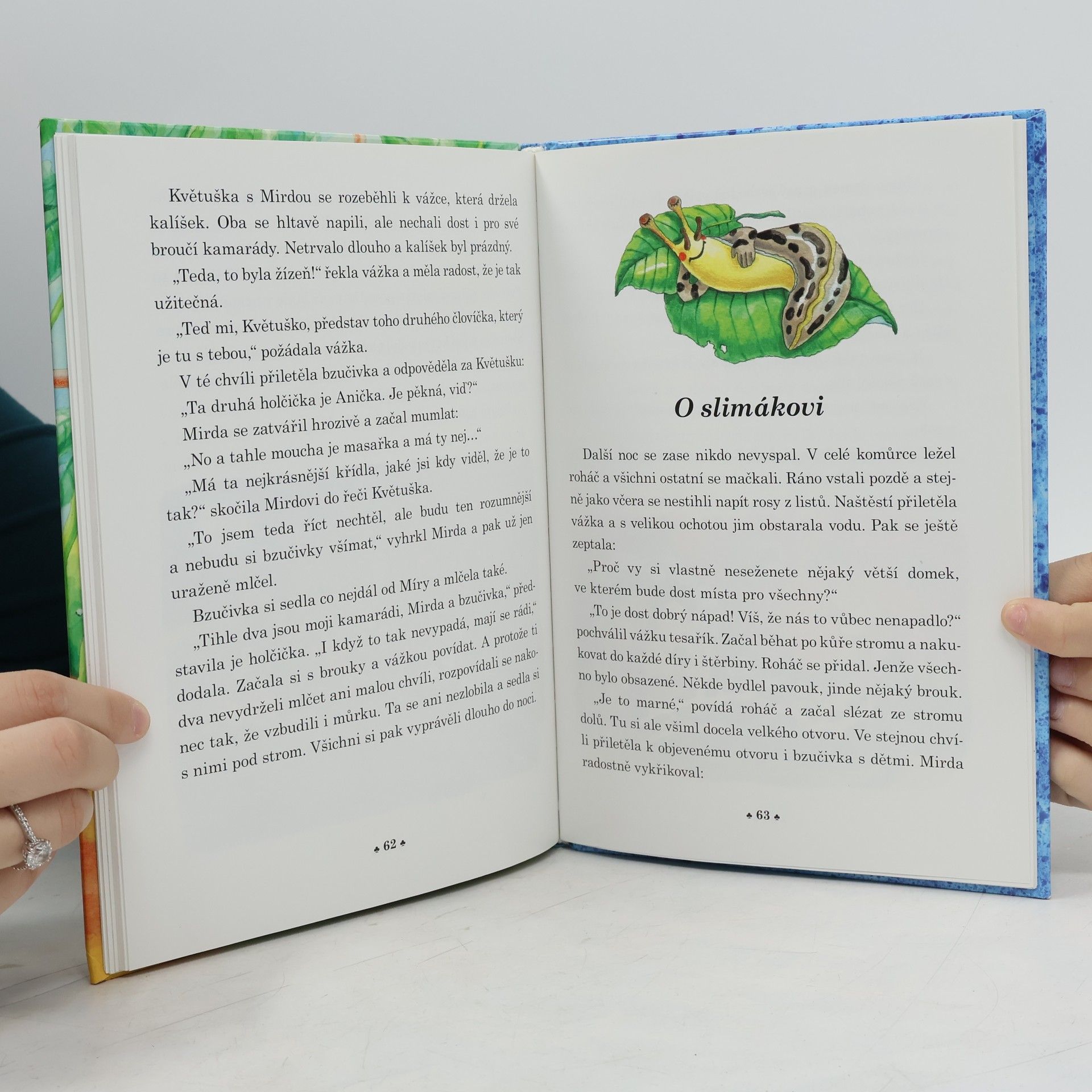 Jitka Vítová Květuška hledá tesaříka