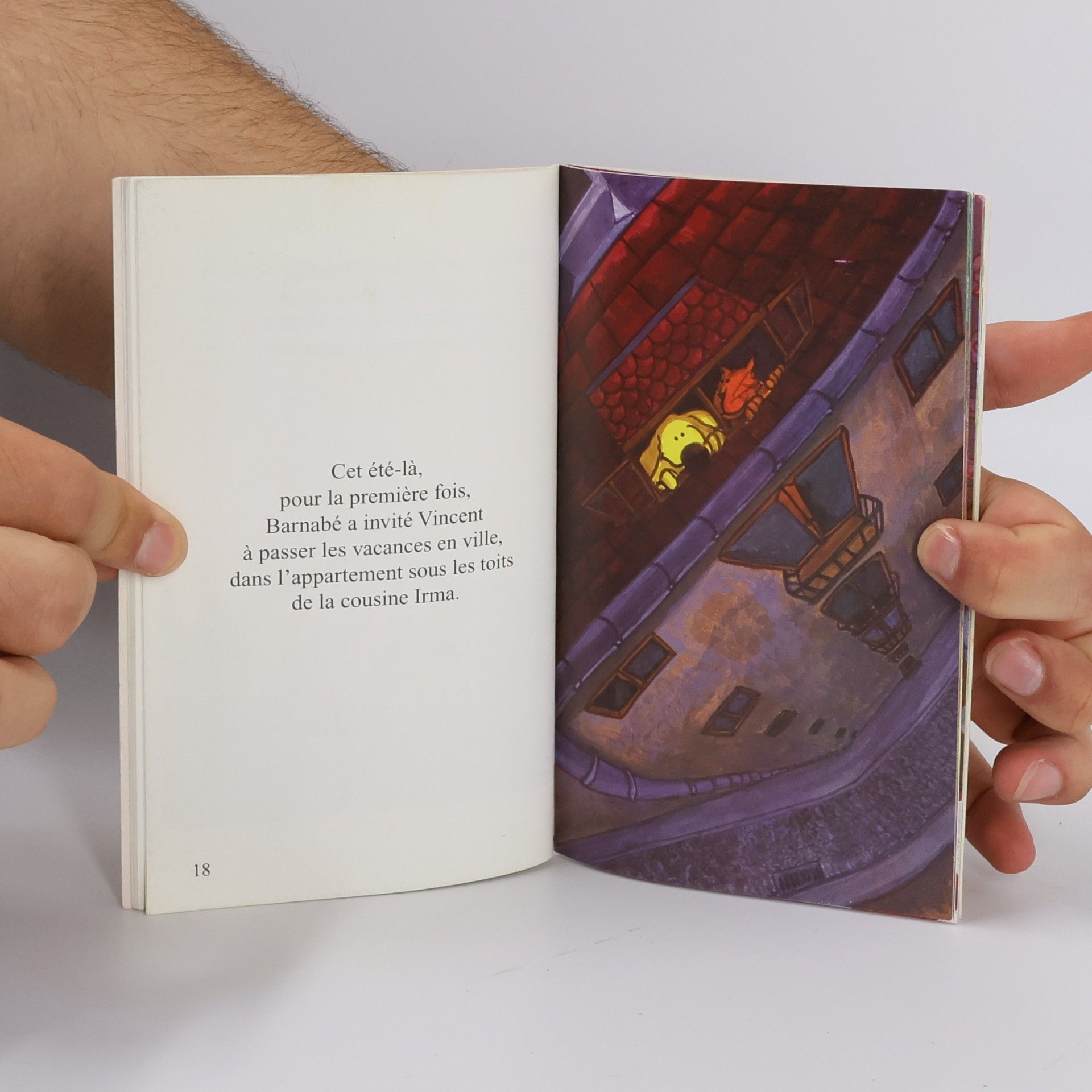 Pierre Pelot Kid Pocket: Vincent et le canard à trois pattes