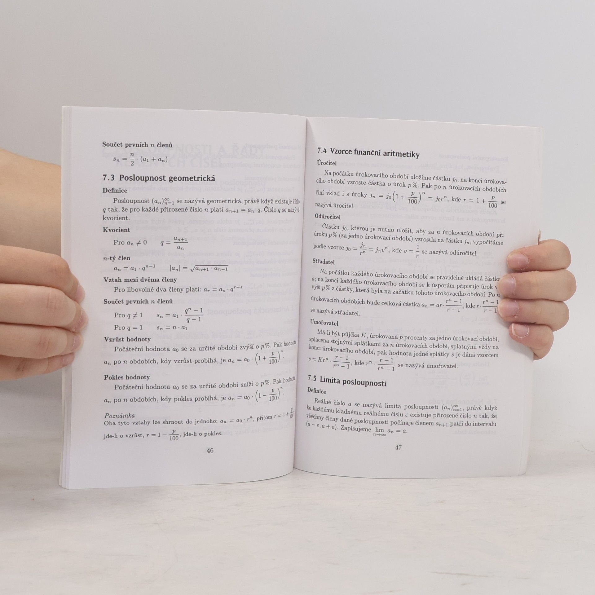 Ivan Bušek Středoškolská matematika ve vzorcích a větách