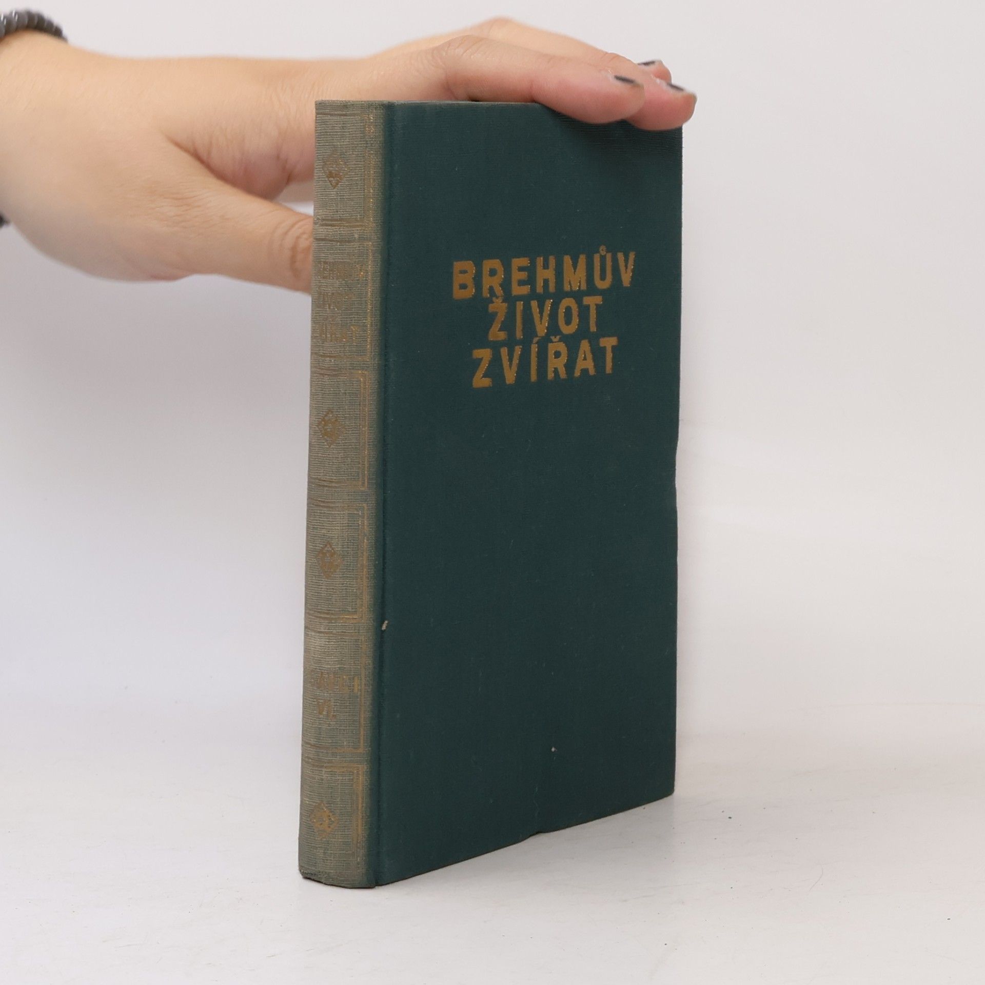 Brehmův život zvířat. Svazek 11