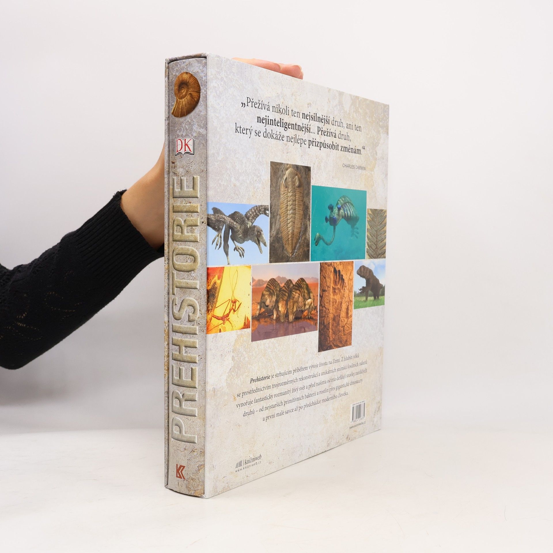 Douglas Palmer Prehistorie