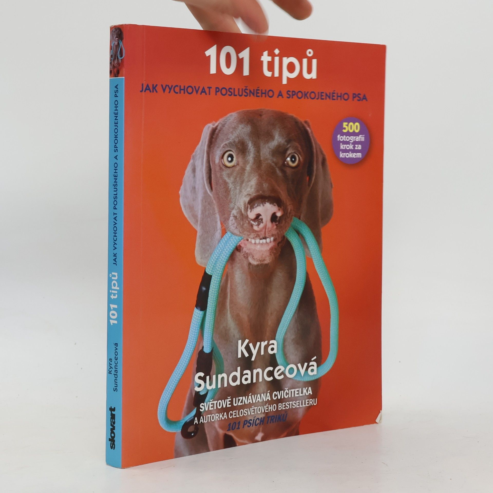 Kyra Sundance 101 tipů jak vychovat poslušného a spokojeného psa