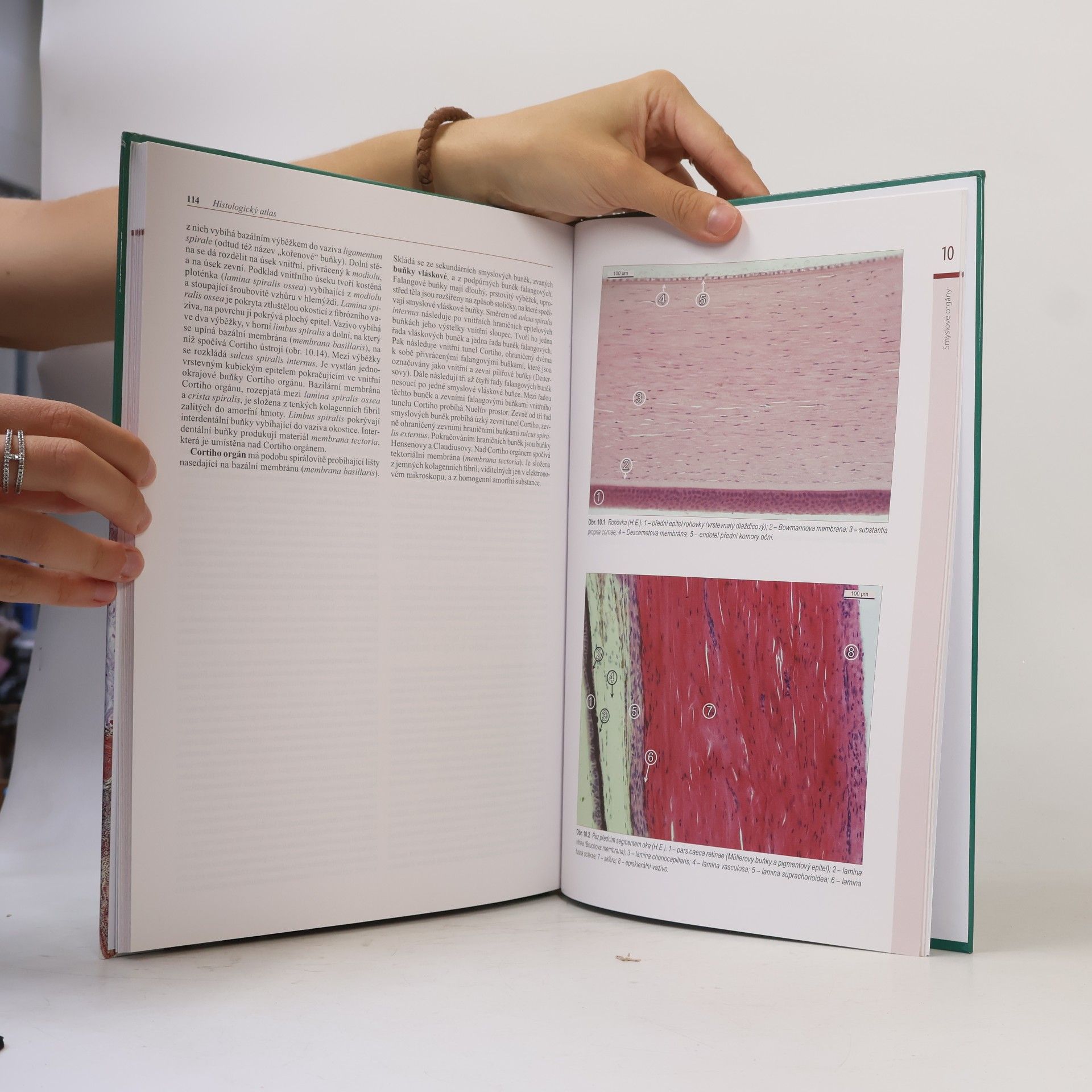 Jindřich Martínek Histologický atlas