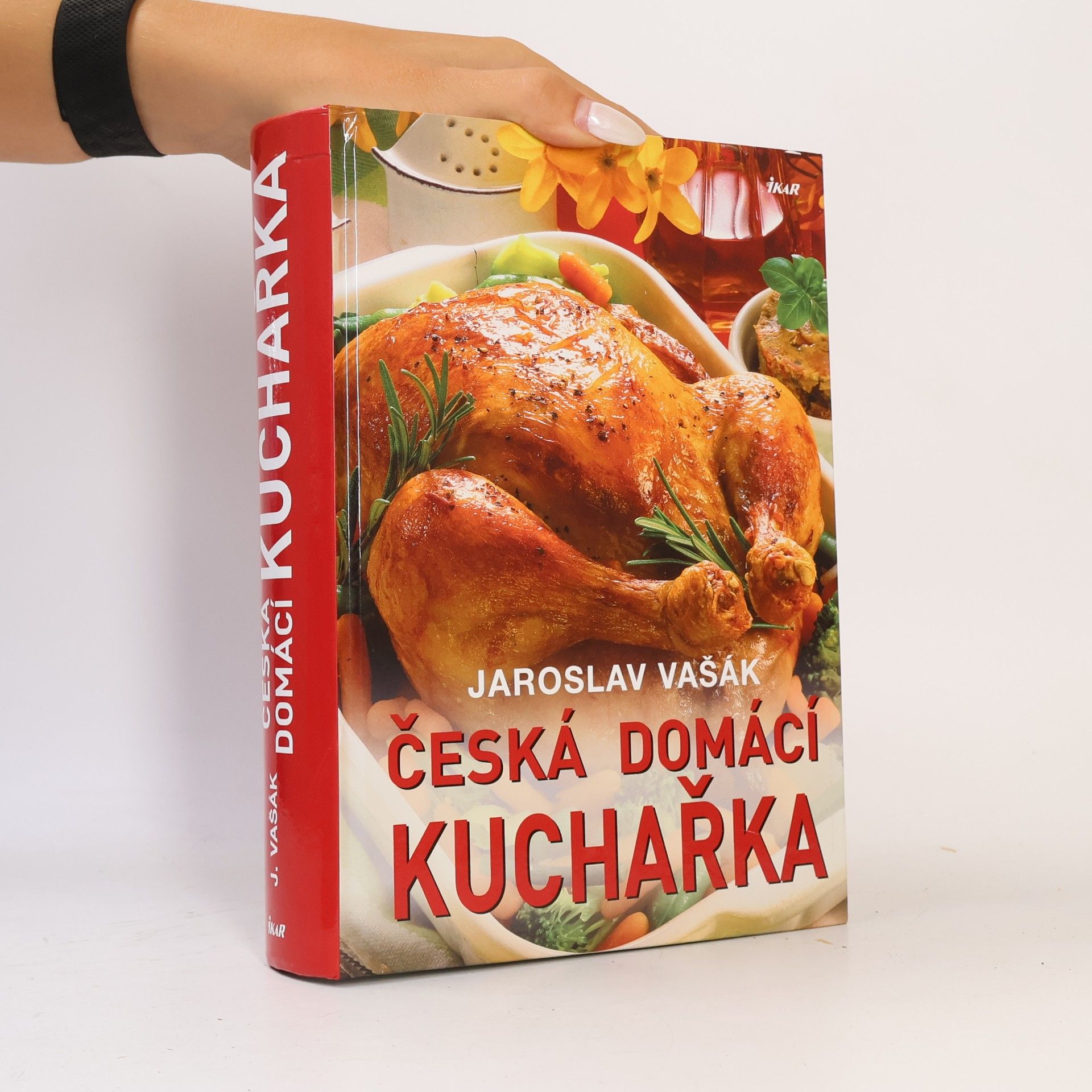 Česká domácí kuchařka