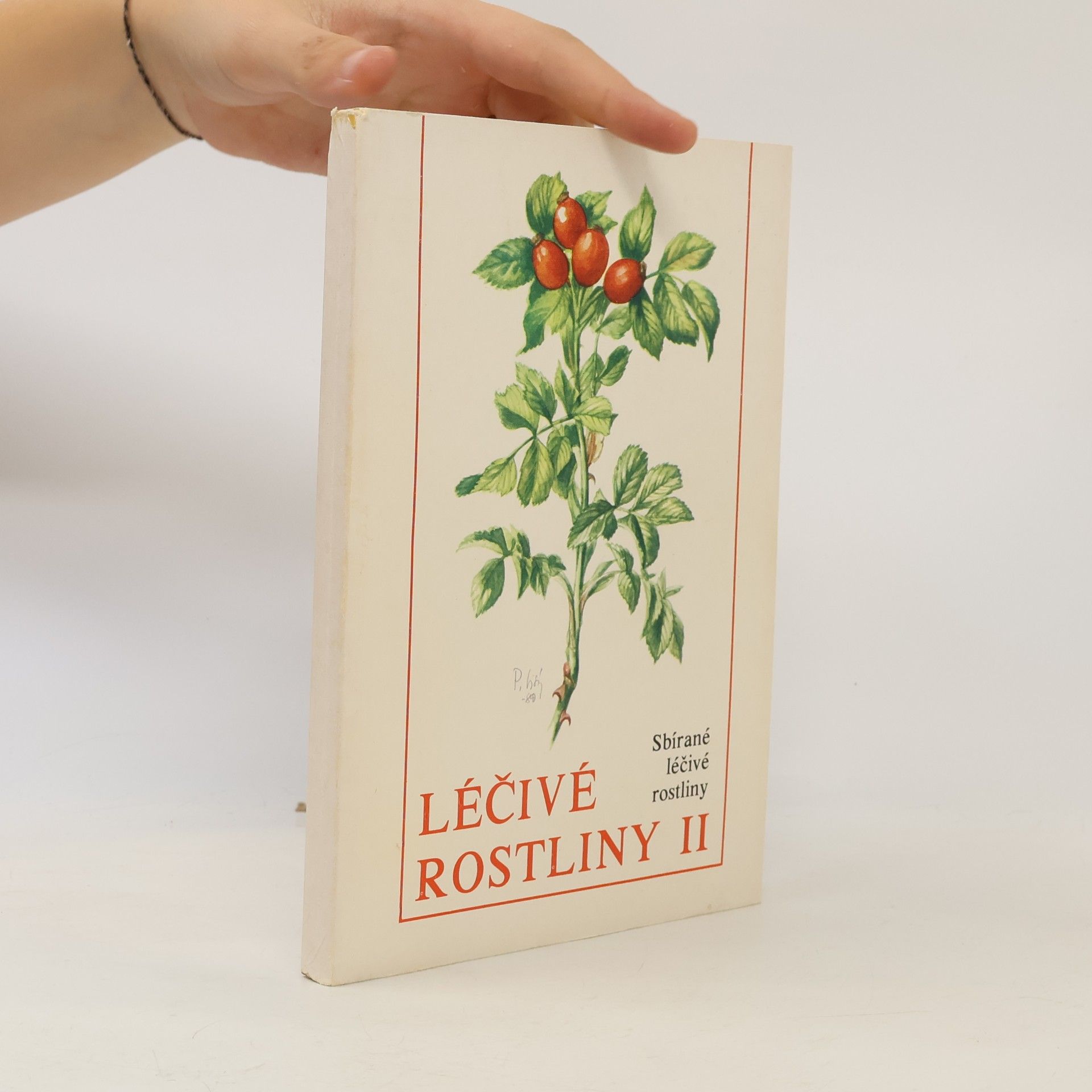 Léčivé rostliny II