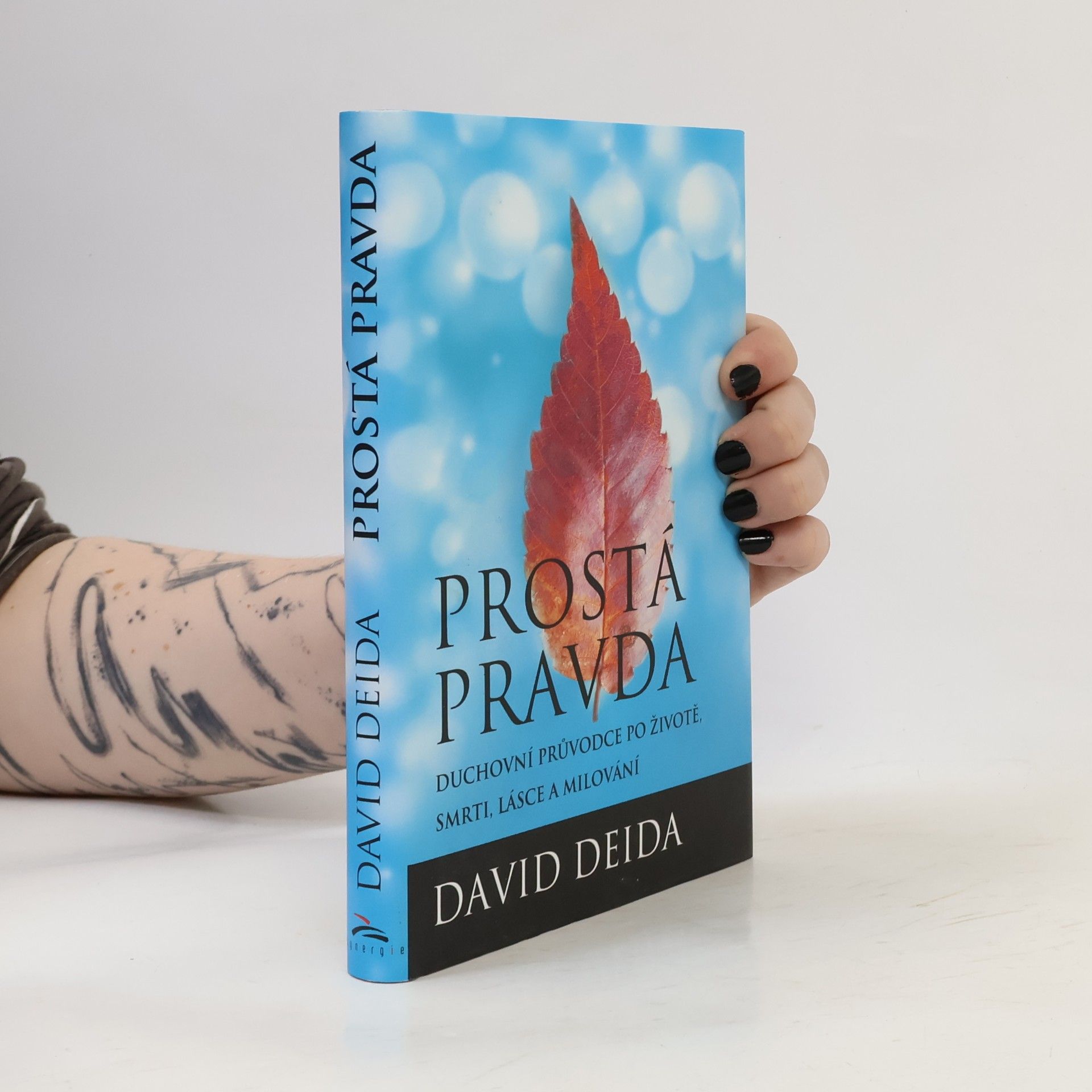 David Deida Prostá pravda